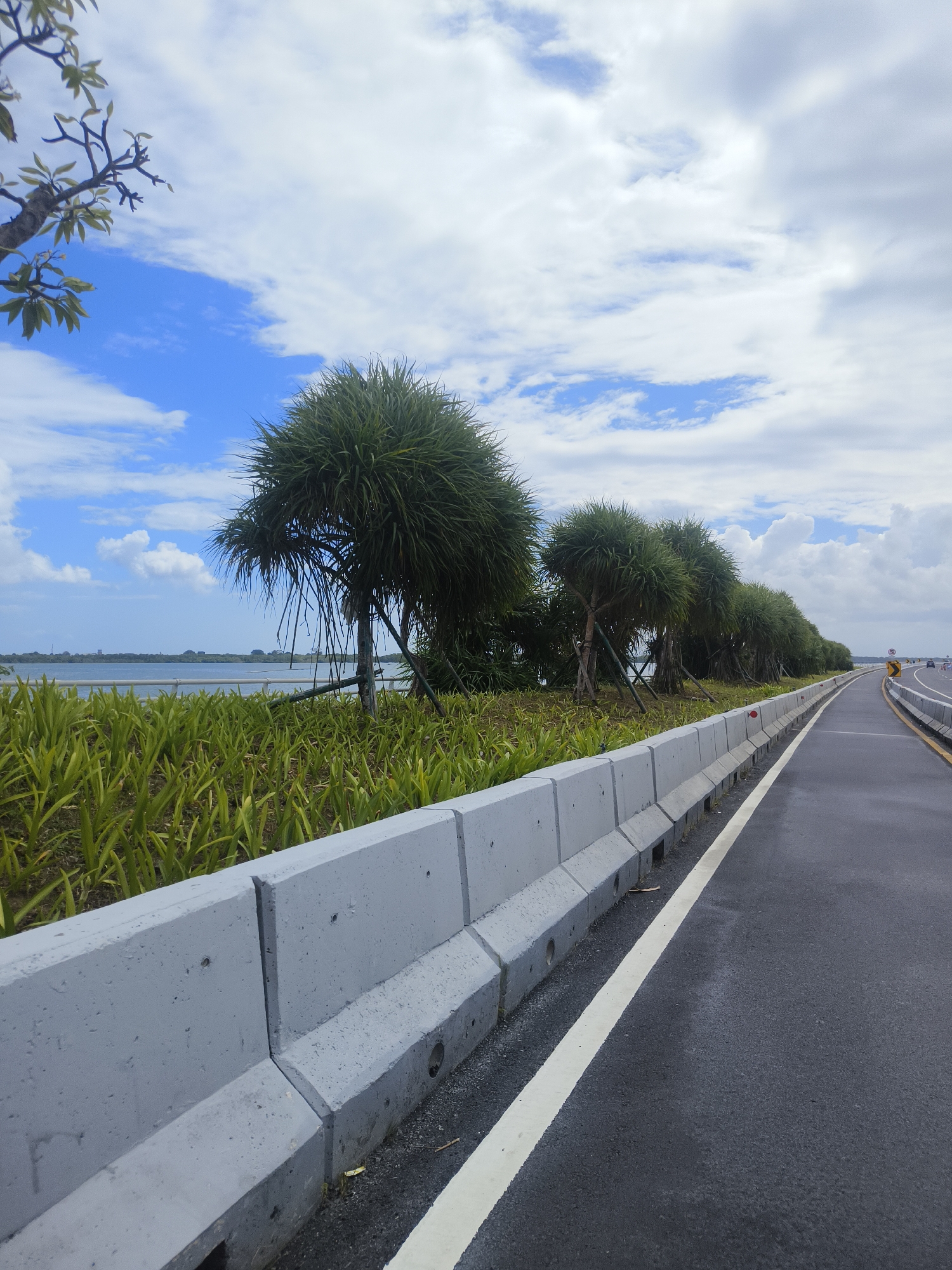 The image depicts a coastal highway with a line of distinctive spiky palm trees on the left, separating the road from a body of water. The road surface is dark asphalt, with a white line marking the lane. A grey concrete barrier runs along the edge of the road. The sky is a mix of blue sky and white clouds. A few distant vehicles are visible on the road ahead. The overall scene suggests a developed, possibly tourist-oriented area with natural elements.
