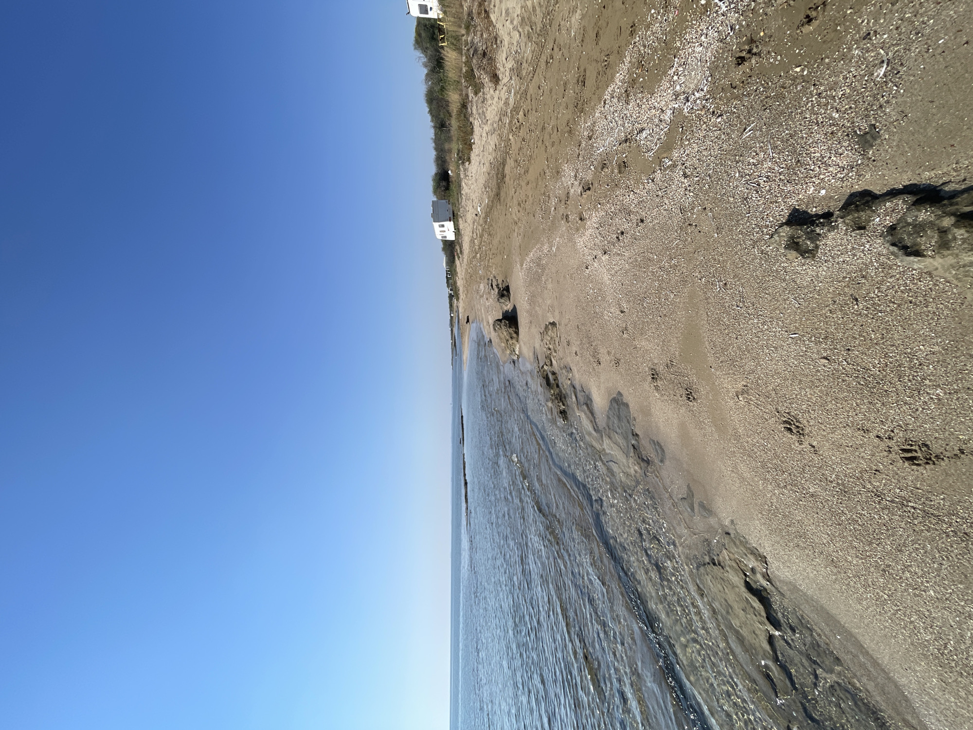 The image depicts a sandy beach on a clear day. The sea is calm with shallow, transparent water lapping at the shore. The beach is covered in sand and small shells, with a few scattered rocks. Footprints are visible in the sand, suggesting recent human or animal activity. In the background, a line of vegetation separates the beach from a clear blue sky. Several white caravans or recreational vehicles are parked along the edge of the vegetation, indicating a campsite or a place for temporary accommodation. The scene appears to be located in Spathariko, Northern Cyprus.