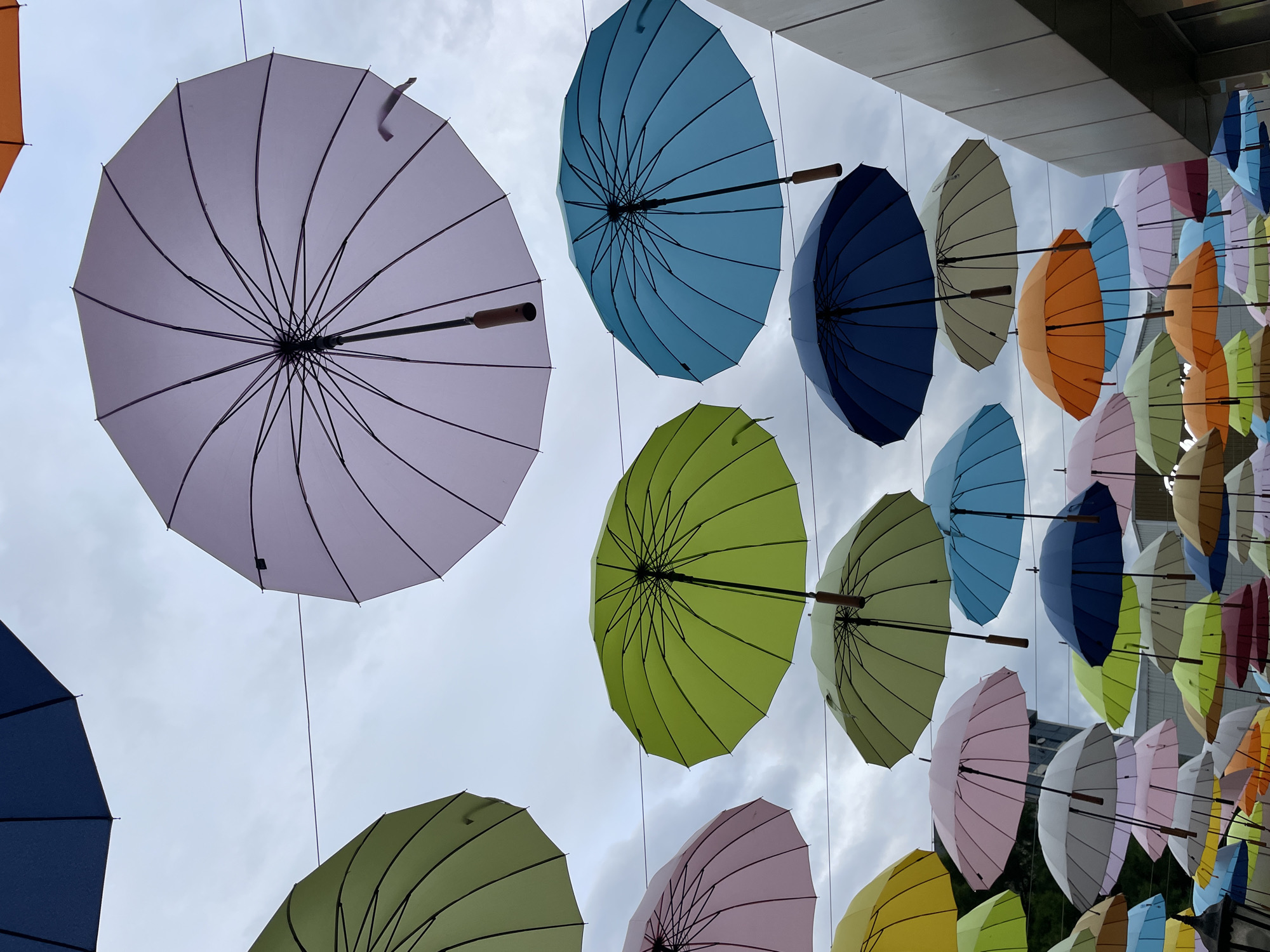 The image shows a vibrant art installation of many colorful umbrellas suspended in the air, likely outdoors. The umbrellas are in various shades of purple, blue, green, orange, pink, and yellow, creating a visually striking display. They are hung on strings, creating a canopy effect.
The perspective is from below, looking up at the umbrellas against a cloudy sky. The lighting suggests it is daytime, but the overcast conditions may be making it appear somewhat dim. The scene is open, with some architectural elements visible in the background on the right, suggesting an urban or public space.
The umbrellas themselves are the main subjects, displayed in a decorative manner rather than for their functional purpose. There are no people visible in the image. The arrangement of the umbrellas creates a sense of whimsy and celebration.
While no specific text is visible, the overall impression is one of a lively and engaging public art piece. The location context provided is Sochi, Russia, which adds a geographical reference to the scene. The weather appears to be cloudy, contributing to the diffused lighting.