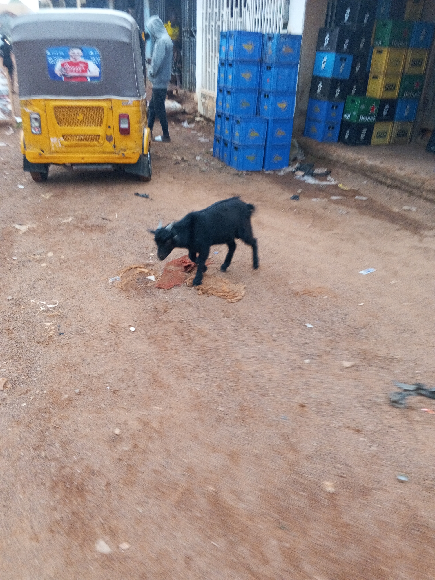 The scene is a dirt road in what appears to be a commercial area of Abuja, Nigeria. A black goat stands on the road, partially obscured by debris. A yellow tricycle taxi ("keke napep") is parked to the left, featuring an advertisement for Arsenal Football Club. A hooded individual stands near the tricycle. A stack of blue, green, yellow, and black beverage crates stands against a building. The area is littered with trash.