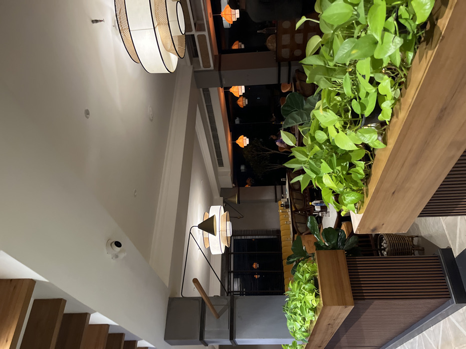 The image depicts an indoor scene, likely a modern restaurant, lounge, or hotel dining area in Dibrugarh, India, captured during the evening or night. The space is illuminated by warm, artificial lighting from various fixtures, creating an inviting ambiance.
In the foreground and midground, a pathway or mezzanine level is defined by long, rectangular wooden planters overflowing with vibrant green foliage, possibly Pothos. To the left, a set of wooden stairs with a light-colored railing ascends. The ceiling is white, featuring recessed lights and distinctive, large, layered pendant lamps with light-colored fabric or rattan shades, casting a soft glow. A small security camera is visible on a white ceiling beam.
Further into the scene, a unique floor lamp or large table lamp with a dark metal frame and a similar layered, circular shade stands near another section of the wooden planters. Beyond this, a dining or seating area is visible with tables and chairs, some appearing to be made of rattan. Blurred figures of people are discernible in the background, seated and engaged in dining or socializing. More decorative pendant lights hang in the distance. The overall decor is contemporary, blending natural elements like wood and plants with modern lighting and architectural features. No visible text is discernible in the image.