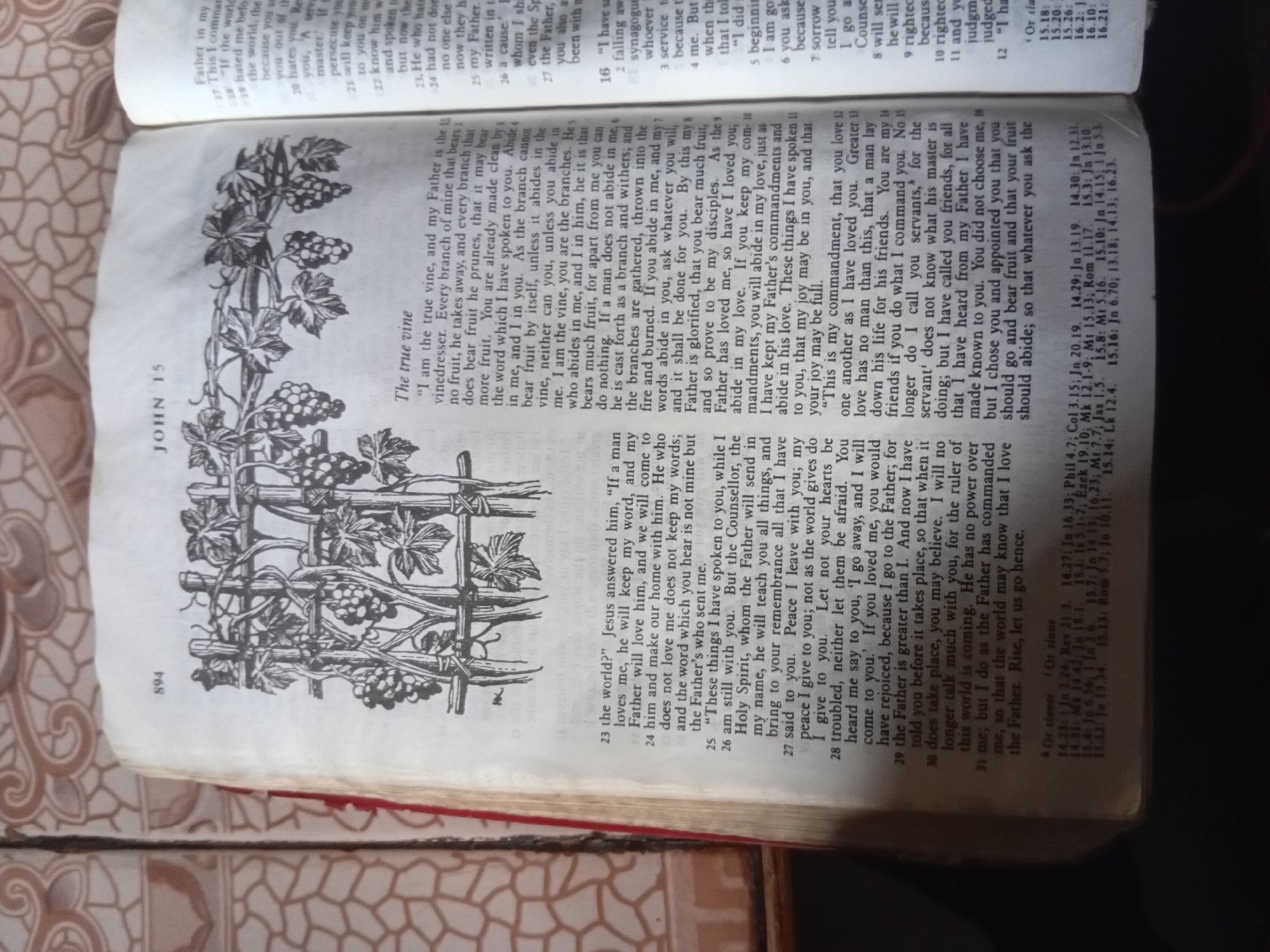 The image shows an open Bible with a prominent illustration of a grapevine and trellis on the left page. The Bible is open to the Book of John, Chapter 15, with the illustration filling the majority of the left page. The text on both pages is in English. The illustration depicts a detailed black and white drawing of grapevines with clusters of grapes and leaves, extending over a wooden trellis.
The right page contains Bible verses, with chapter and verse numbers clearly visible. The text is arranged in two columns. Several passages are marked with either bolding or underlines. The right page also includes a section titled "Or slaves" with verse references.
The overall impression is that of a study Bible. The book is lying open on a patterned surface, possibly a table or a bed, which is partially visible at the bottom and left edges of the image. The lighting suggests it might be daytime, but no specific time of day can be determined. There are no people or animals visible in the image. The focus is entirely on the open Bible and its illustrative element.