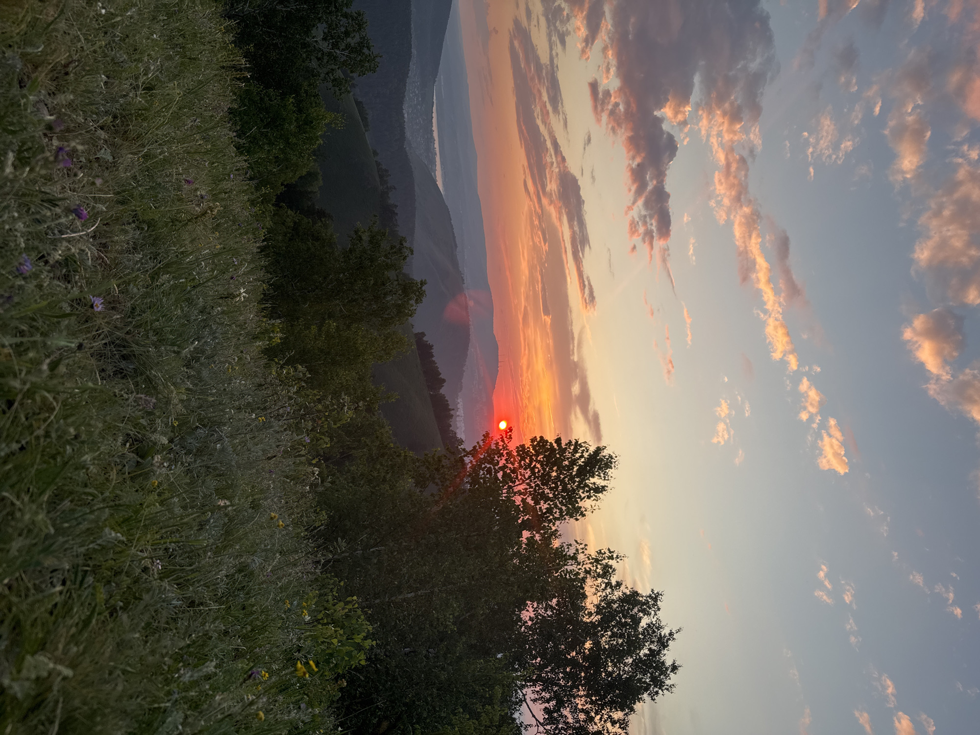 The image depicts a wide landscape view of the city of Krasnoyarsk, Russia, during sunset. The foreground is dominated by a grassy meadow with various wildflowers in muted colors, some of which appear to be purple and yellow. In the mid-ground, rolling hills covered in lush green trees stretch across the scene. Some of these trees, particularly on the right side, are dense and dark, obscuring the view behind them.
In the distance, layers of hills recede into a hazy, muted gray-blue landscape. A body of water, likely a river or lake, is visible in the valley between the hills, with a small settlement or town nestled along its banks. The sky is a gradient of warm colors, transitioning from a bright, intense orange and red near the horizon to a soft blue at the top. The sun, a vibrant red orb, is setting just above the distant hills, casting rays of light that create a luminous effect. Wispy clouds, tinged with pink and orange, are scattered across the sky, adding to the dramatic sunset atmosphere. The overall impression is of a serene and picturesque natural setting within the context of the city.