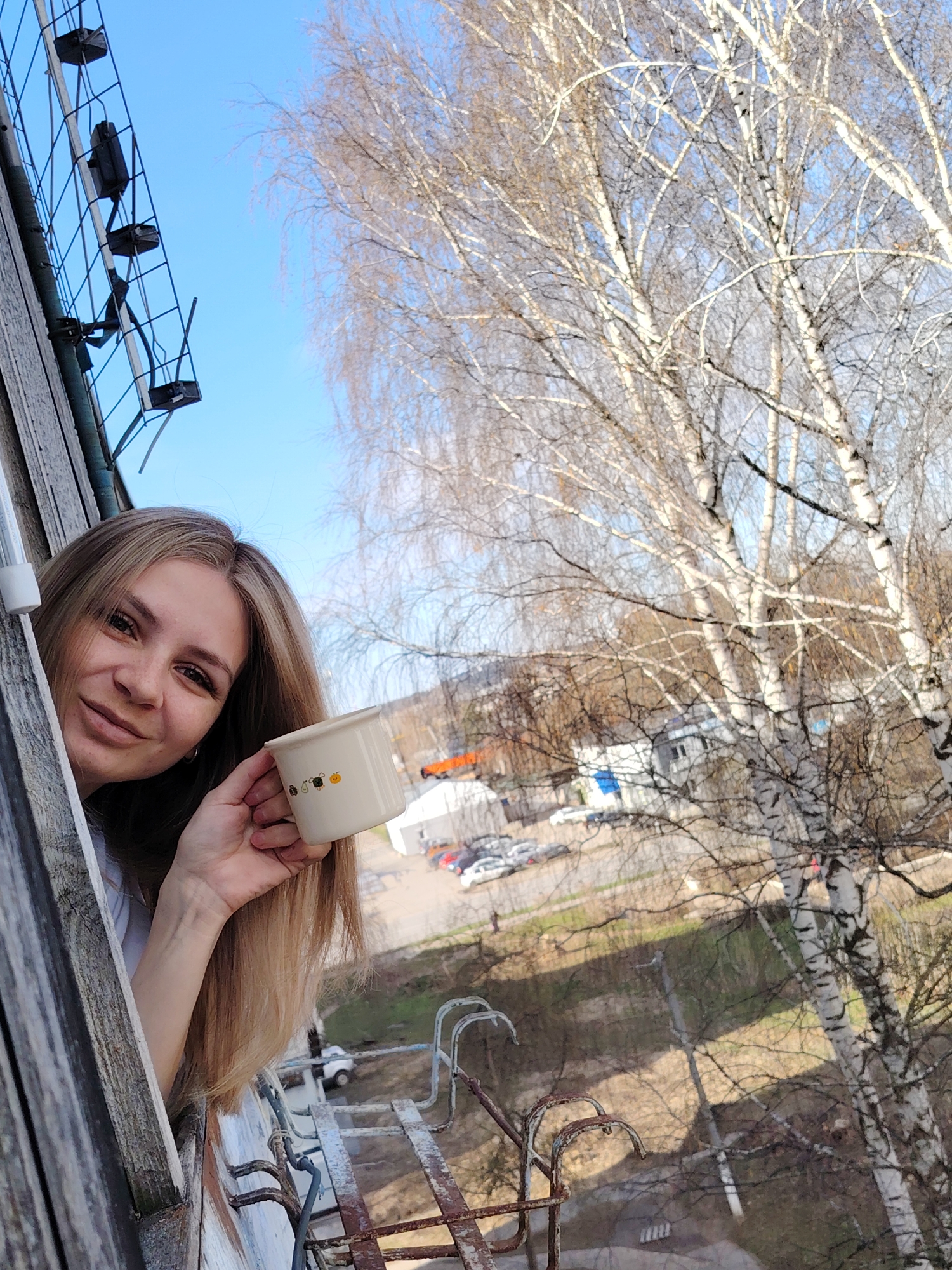 A young woman with long, light brown hair leans out of an aged wooden window frame, looking towards the viewer with a gentle smile. She holds a cream-colored mug with small, cartoon-like bee or insect designs. The scene is set under a clear, bright blue sky, indicating a sunny day, likely morning or early afternoon. The bare branches of a prominent birch tree with white bark occupy a significant portion of the right side, suggesting late winter or early spring.
To the left of the woman, a black metal cage-like structure, possibly a pigeon guard or part of a balcony, is attached to the building's exterior. Below the window, a rusty metal railing adds to the impression of an older residential building. In the background, beyond the tree, a view of a street or parking area with parked cars, some patches of brown grass, and distant buildings is visible. The overall setting is consistent with a residential area in Chaikovsky, Russia, capturing a moment of quiet contemplation or a morning ritual. There is no discernible text other than the decorative patterns on the mug.