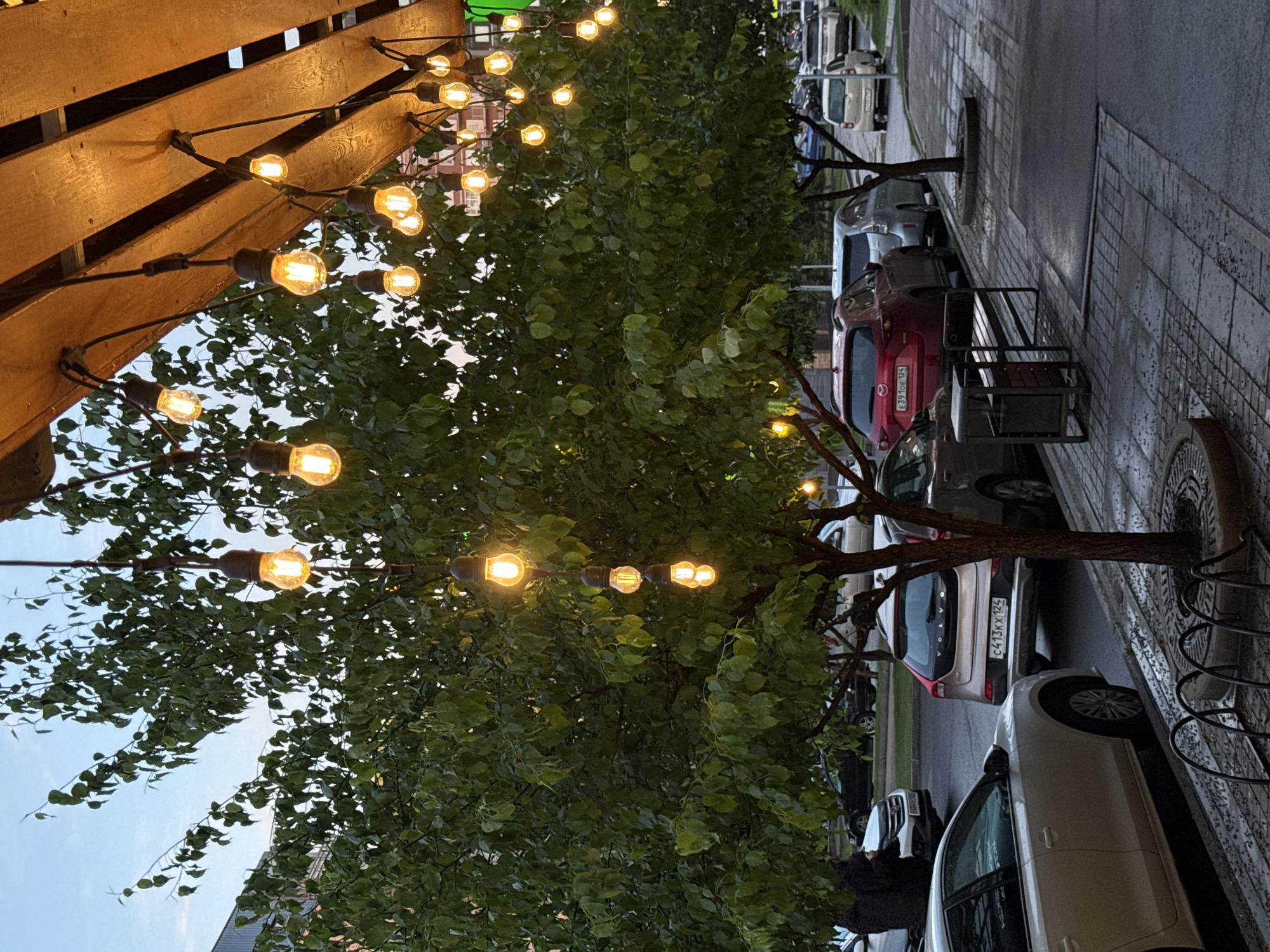 The image shows a street scene, likely in Krasnoyarsk, Russia, based on the license plate visible on a red car. Overhead string lights with round bulbs are strung across a wooden structure and through trees lining the sidewalk. Cars are parked parallel to the curb, next to the trees. A bench sits along the sidewalk. The sidewalk appears to be made of grey paving stones. The weather seems overcast.