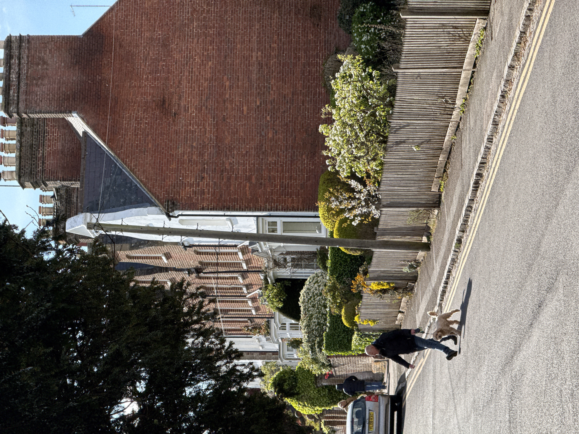 The image shows a street scene in a residential area of Dacorum, United Kingdom. A man walks a dog on a leash on the road, close to a double yellow line. A silver car is parked at the side of the road. The street is lined with brick houses, some with white facades and ivy-covered walls. A tall brick building is in the background. Trees and bushes grow in front of the houses. A wooden fence runs along the side of the road. The sky is blue with light clouds.