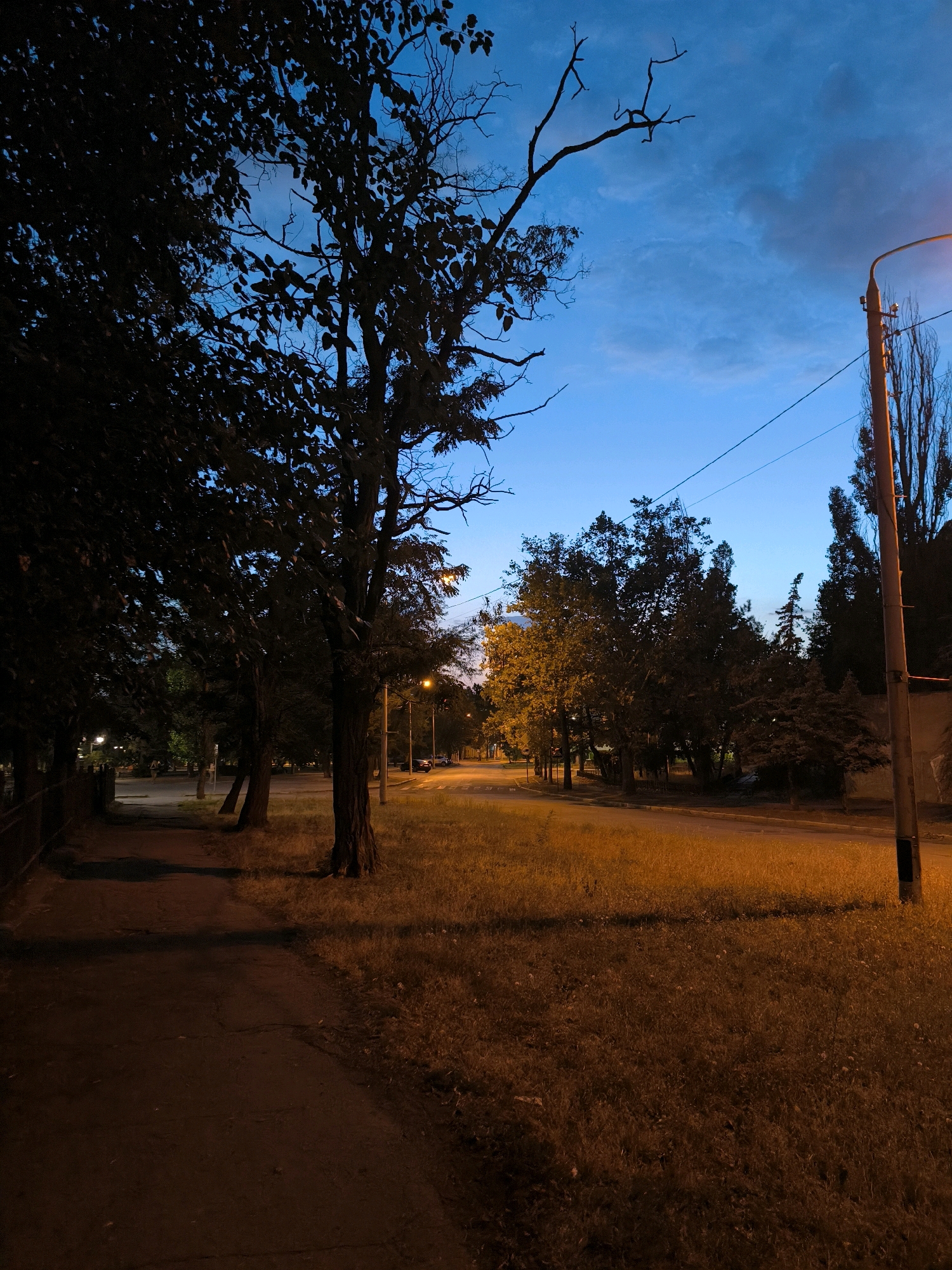 A sidewalk runs alongside a grassy area bordering a street at dusk or dawn. The sky is a deep blue with some lighter clouds. Silhouetted trees line the left side of the sidewalk, and more trees are visible across the street, some illuminated by streetlights. A single streetlight is visible on the right side of the image. The street is illuminated by artificial light, casting an orange glow on the grass and road. There are no people visible in the image. The overall scene suggests a quiet urban or suburban environment during twilight hours.