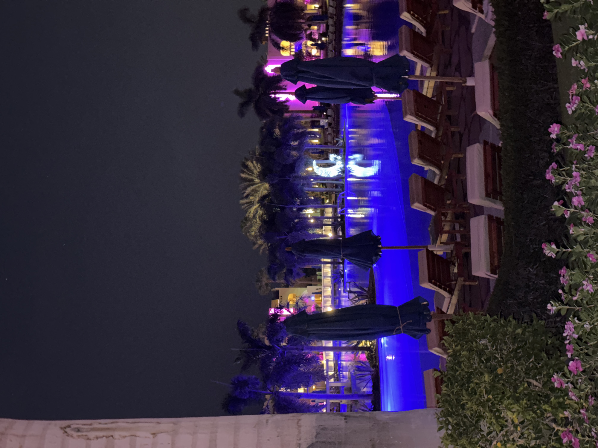 The image depicts a night scene at a resort or hotel in Egypt, possibly on a palm-lined coast. A large, brightly lit swimming pool dominates the center of the frame, with vibrant blue lighting illuminating the water. Palm trees with purple and pink uplighting surround the pool area, adding a tropical ambiance. In the background, a building with warm lighting and architectural elements typical of Egyptian design is visible. Several lounge chairs are arranged around the pool, some covered with towels, suggesting a place for relaxation. Two closed, dark blue umbrellas stand near the pool. In the foreground, lush green bushes and a bed of small pink flowers add a touch of natural beauty to the scene. A large, light-colored column, possibly part of a structure or a tree trunk, is on the far left side of the image. The overall atmosphere is serene and inviting, enhanced by the colorful lights and the tranquil water.