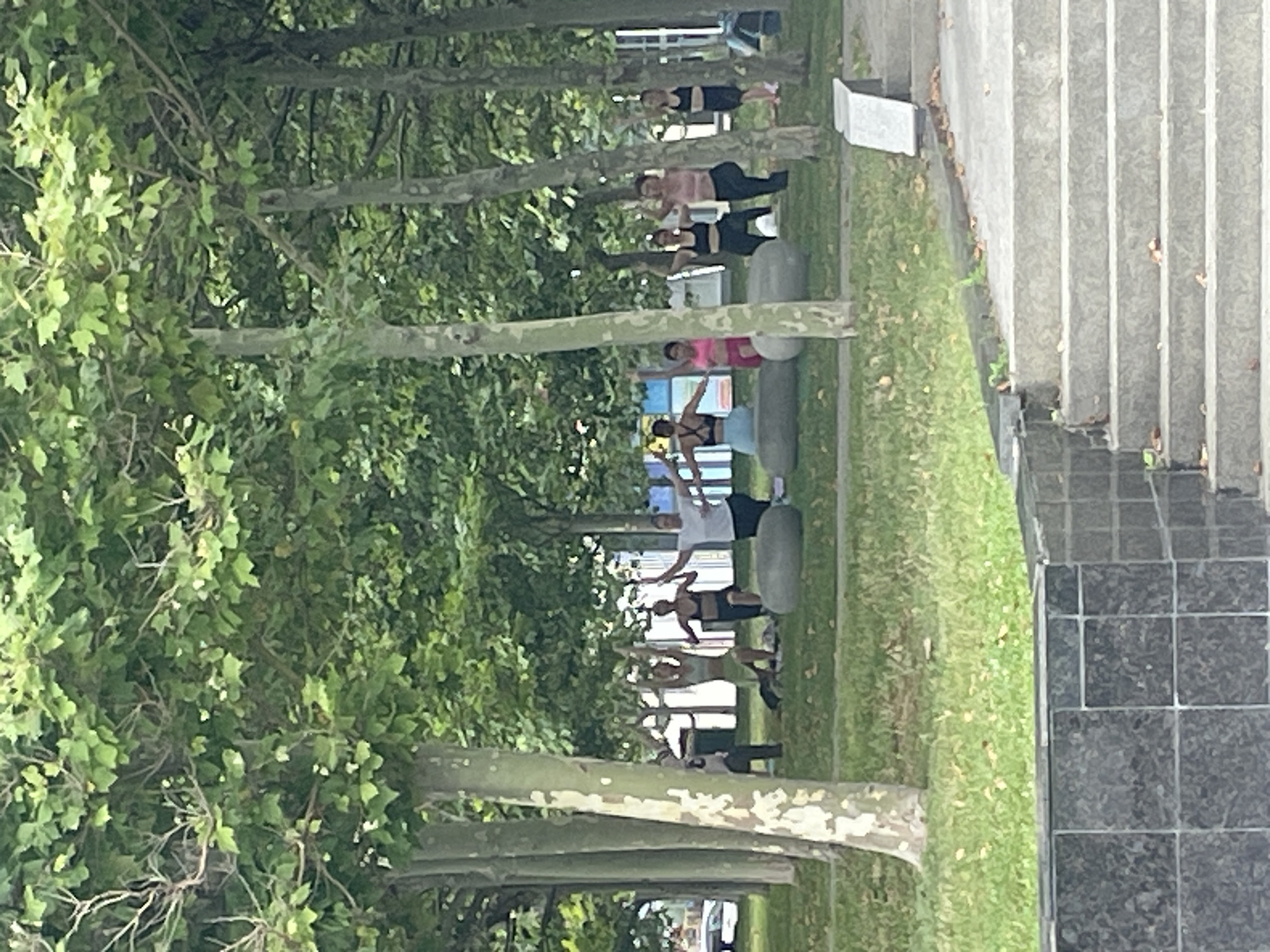 In Novorossiysk, Russia, a group of approximately eight individuals are engaged in a yoga session outdoors. They are positioned on a grassy area, likely a park, surrounded by trees with green foliage. Several individuals are in standing poses, with arms raised. Some are on yoga mats, while others are on the grass. The overall environment appears to be a public space within the city. The foreground shows a stone staircase and a dark, tiled wall, suggesting the yoga class is taking place near a walkway or plaza.