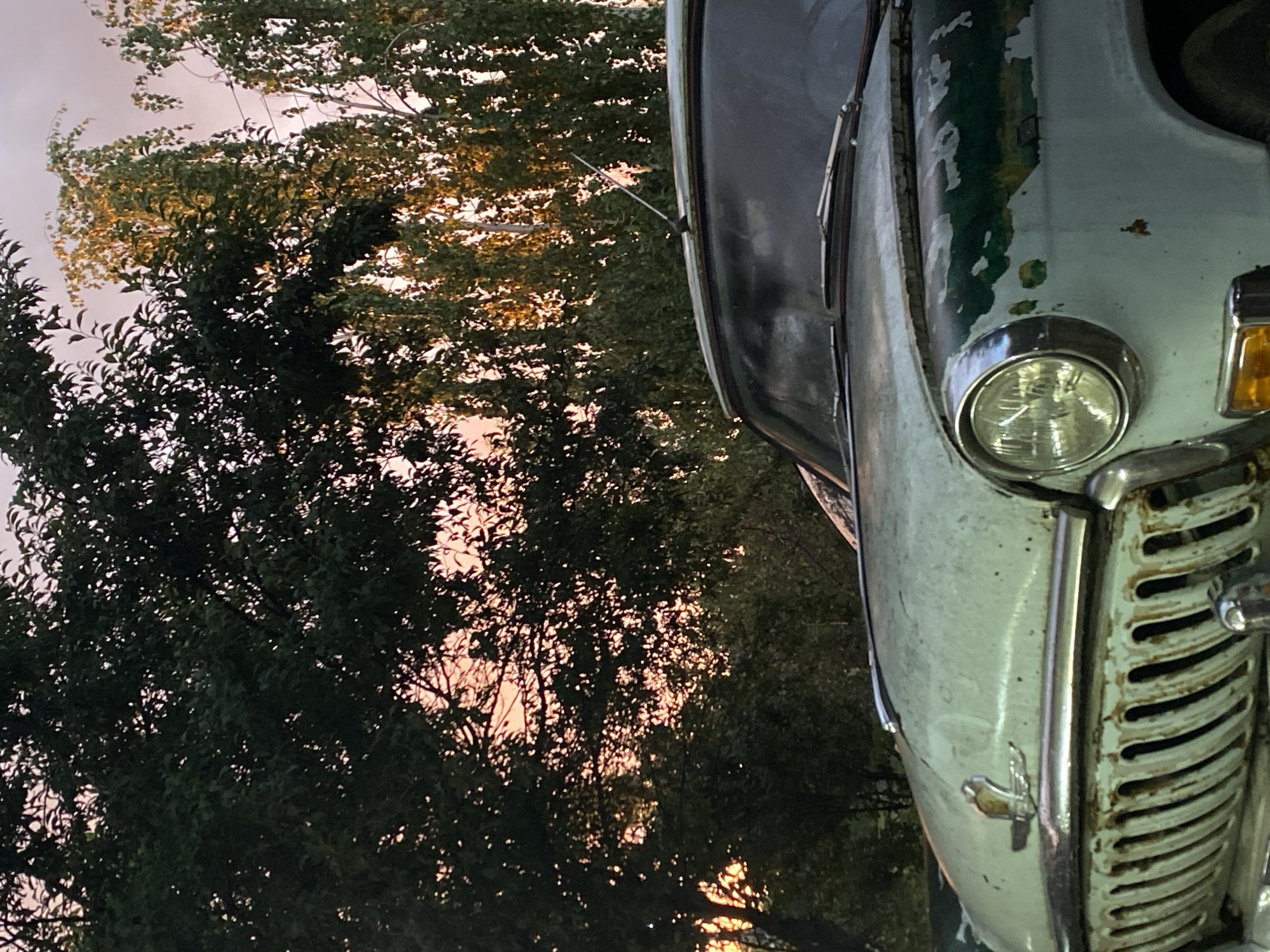 The image shows the front of a light-colored, vintage car with peeling paint, parked outdoors against a backdrop of trees and a twilight sky. The car features a prominent chrome grille and a round headlight. The trees behind the car are lush green, with some leaves catching the warm light of the setting sun, which creates a soft pink and orange hue in the sky. The scene appears to be in a rural or suburban setting, likely a yard or a quiet street, possibly in Dinskaya, Russia, given the context. There are no people visible in the image.