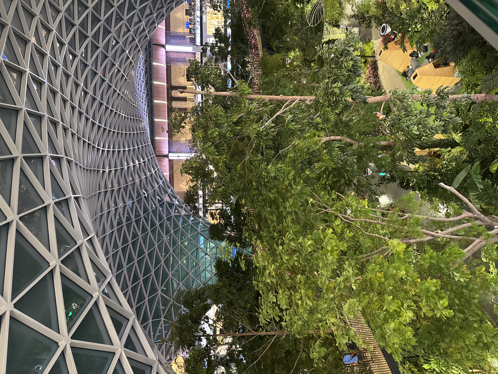 The image captures an interior view of a large, multi-level building, likely a shopping mall or airport, in Doha, Qatar. The scene is dominated by lush greenery, with numerous trees and plants occupying the foreground and midground. A complex, geodesic dome-like ceiling with a white geometric structure and glass panels arches over the entire space, allowing natural light to filter in.
In the background, multi-story structures with illuminated windows and signage are visible, suggesting shops or restaurants. A walkway or bridge, lined with railings, can be seen traversing the space, with a person in a blue shirt walking on it. Below, in the lower right portion of the image, several wooden, tent-like structures are set up on a green surface, with people resting or lying down within and around them. Decorative lights, possibly string lights, are also visible, adding to the ambiance. The overall impression is one of a modern, urban environment integrated with nature.