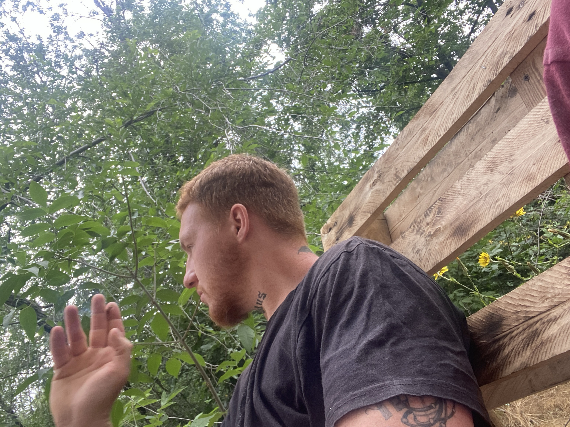 An outdoor, low-angle shot shows a person with red hair and a beard, wearing a dark t-shirt. The person is looking up and to the right, with their head tilted back. A hand is visible in the upper left quadrant of the image, also reaching upwards. The background consists of lush green foliage and a bright sky. In the foreground, there are wooden planks, suggesting some sort of structure or construction. A tattoo is visible on the person's arm. The setting appears to be natural, possibly a park or wooded area within a city.