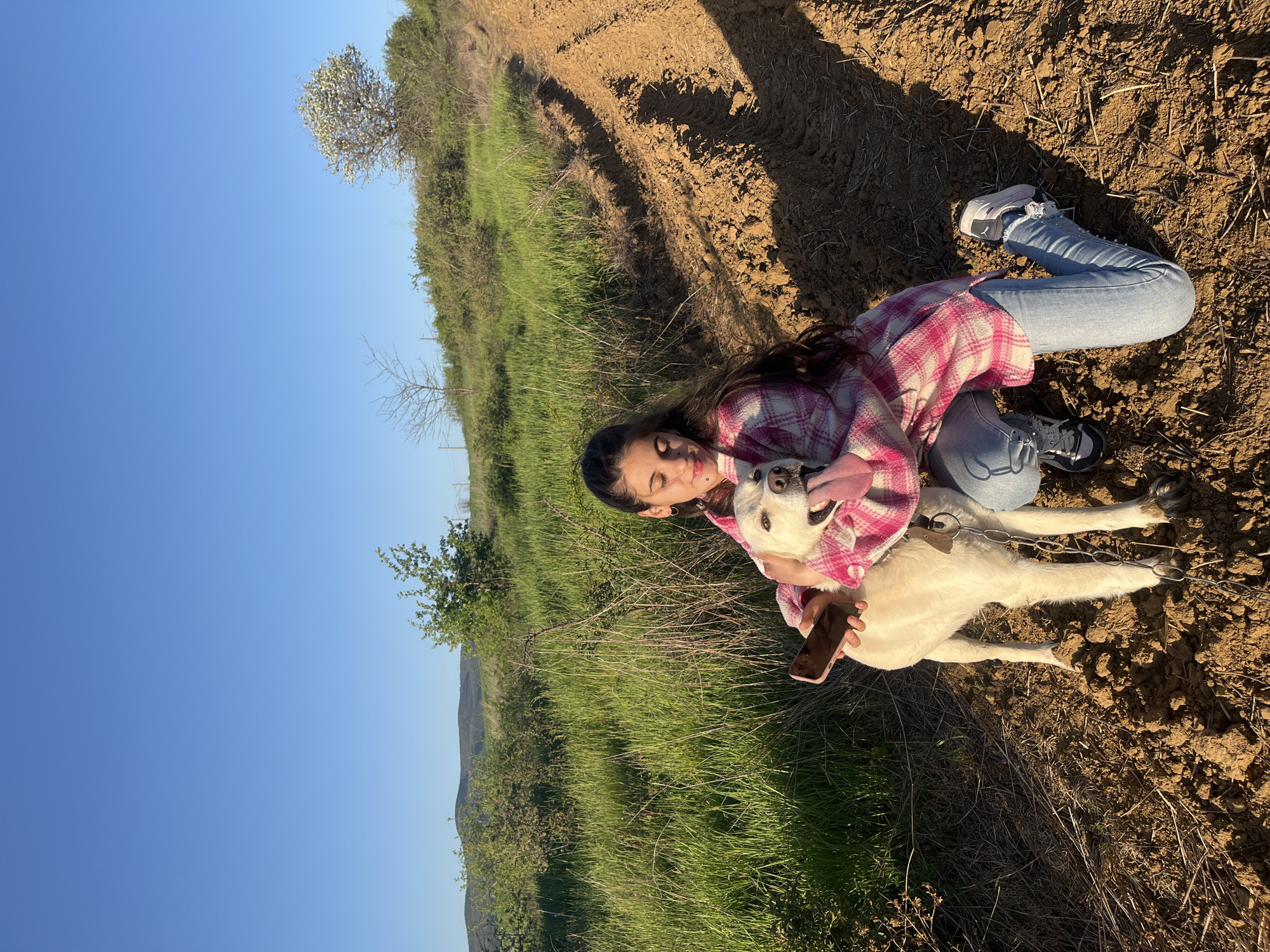 A young woman is pictured outdoors in what appears to be a rural or semi-rural setting in Lozarevo, Bulgaria. She is kneeling or crouching on tilled, dry earth, embracing a small, light-colored animal, possibly a goat or lamb, with dark patches around its eyes and ears. The woman has long dark hair, is wearing a pink and white plaid long-sleeved shirt, light blue ripped jeans, and white sneakers. She is looking at the animal with a gentle, smiling expression, and a beauty mark is visible above her upper left lip. She holds a rose gold-colored smartphone in her right hand, positioned near the animal.
The animal wears a collar from which a metal chain extends towards its front legs. The ground beneath them is a mix of disturbed soil with some dry straw or grass elements. To the left of the woman, the terrain slopes gently, covered in vibrant green grass and various bushes. In the mid-ground, a tree with white blossoms stands out against the clear blue sky, while other smaller trees and shrubs are scattered across the landscape. Distant hills or mountains are visible on the horizon under the bright, cloudless sky.
Long shadows are cast on the dry ground to the right, suggesting either early morning or late afternoon light. The overall mood of the image is peaceful and affectionate, highlighting the bond between the woman and the animal in a sunlit natural environment. No discernible text is visible in the image.