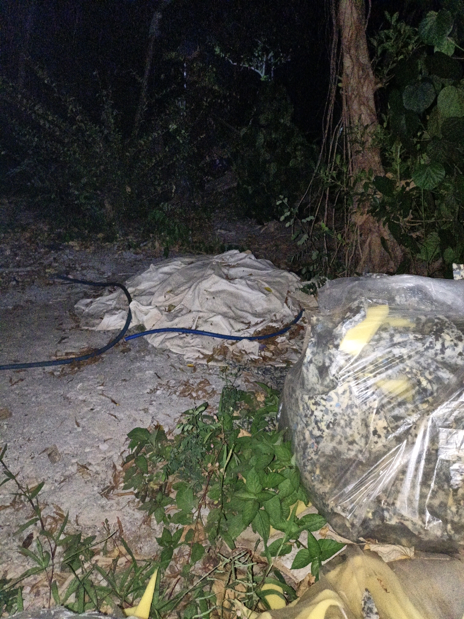 The image depicts an outdoor scene at night, likely in Cikal, Indonesia, with a focus on discarded materials. In the foreground, there is a pile of what appears to be a large, white tarp or fabric, partially covering the ground. Two blue hoses are visible, one snaking across the tarp and the other lying on the ground to its left. To the right of the tarp is a large, irregular object encased in clear plastic. This object appears to be a collection of foam or padding, possibly from furniture or bedding, with a mottled grey and yellow-ish coloration. The ground is a mix of concrete or packed earth, scattered with dry leaves and small green weeds. In the background, dense vegetation and the trunk of a large tree are visible, suggesting a natural or semi-natural environment within or on the outskirts of the city. The lighting is dim, indicating it was taken with artificial light or low ambient light.