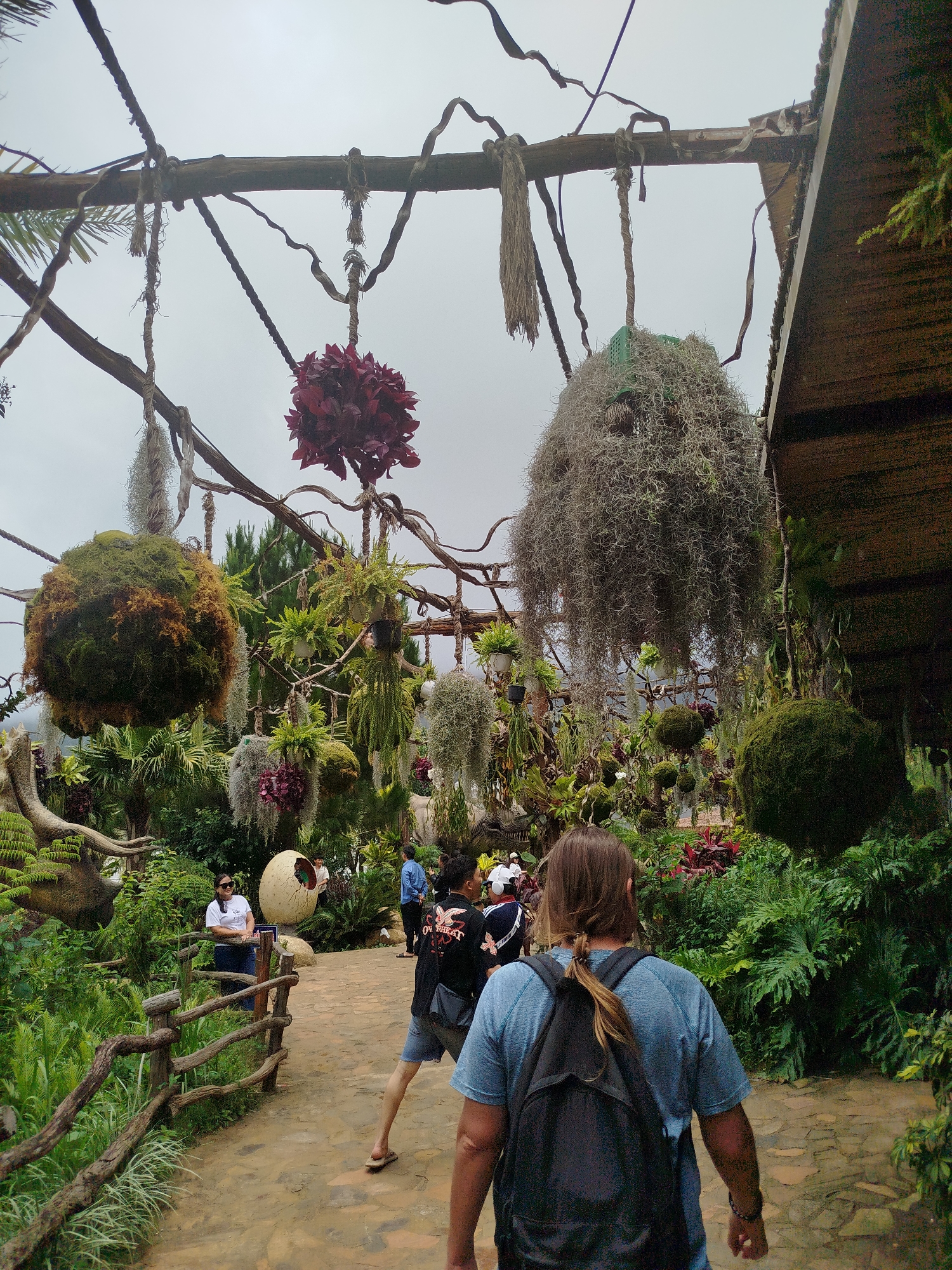 The image shows a pathway in a lush botanical garden, likely in Lạc Dương, Vietnam. The pathway is made of irregular paving stones and is bordered by dense green foliage. Several people are present, walking along the path or standing and observing the surroundings. Hanging from a rustic wooden structure above the path are numerous plants, including large moss balls and clusters of air plants. The overall impression is one of a natural, slightly wild, and well-maintained garden environment.