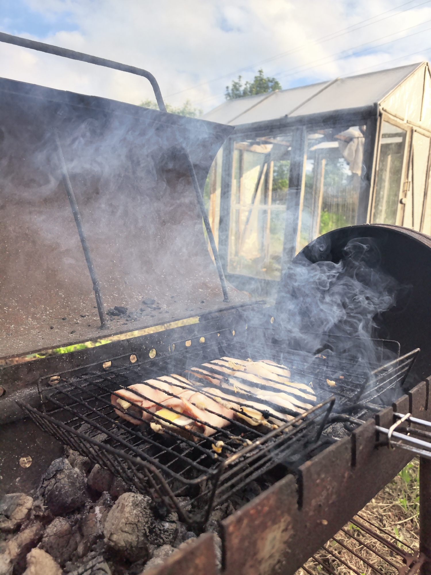 A close-up, eye-level shot depicts a charcoal grill in an outdoor setting, likely in Shabury, Russia. Smoke billows upwards from the grill, which contains several pieces of food. The food appears to be some form of meat, possibly ham, with cheese. The grill is situated above burning charcoal. In the background, a greenhouse is visible. The overall scene suggests a backyard barbecue or outdoor cooking activity.