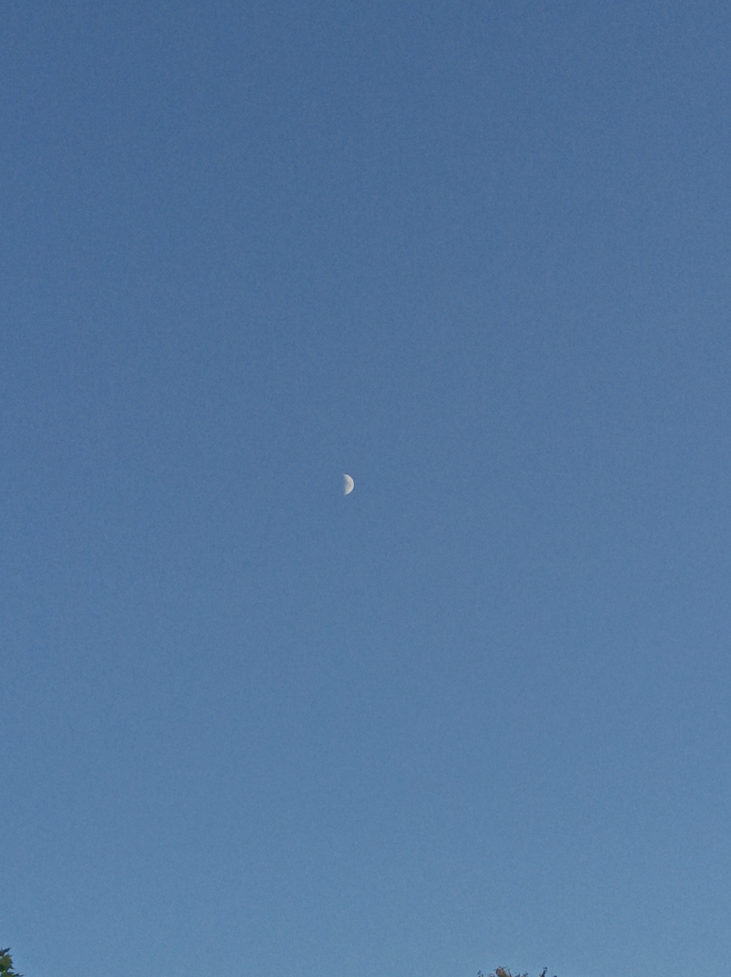 The image shows a clear blue sky with a crescent moon visible slightly to the right of the center. The bottom of the image shows the tops of some trees, suggesting an outdoor scene. There are no people or specific landmarks visible that would indicate the location in Шарпілаўскі сельскі Савет, Belarus, beyond it being an outdoor location with a view of the sky and trees. The lighting suggests it is daytime.