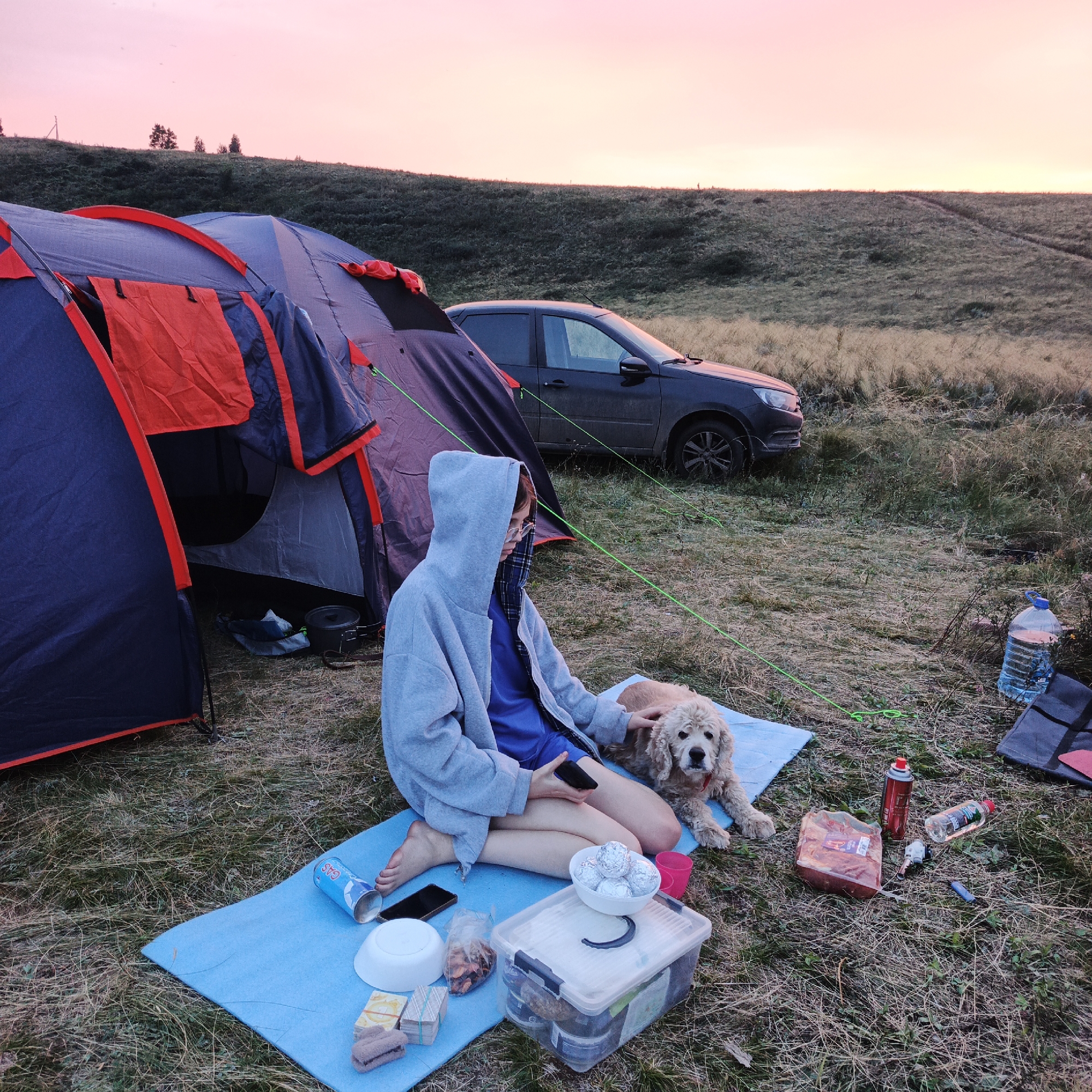 In Yangi-Turmush, Russia, at dusk, a person in a grey hoodie sits on a blue mat next to a dog. The person is holding a phone and petting the dog. The scene is a campsite with a large tent and a car parked nearby. Various camping supplies, including a gas canister, food, and a large water bottle, are scattered on the ground. The background shows a grassy hill under a pink sky.