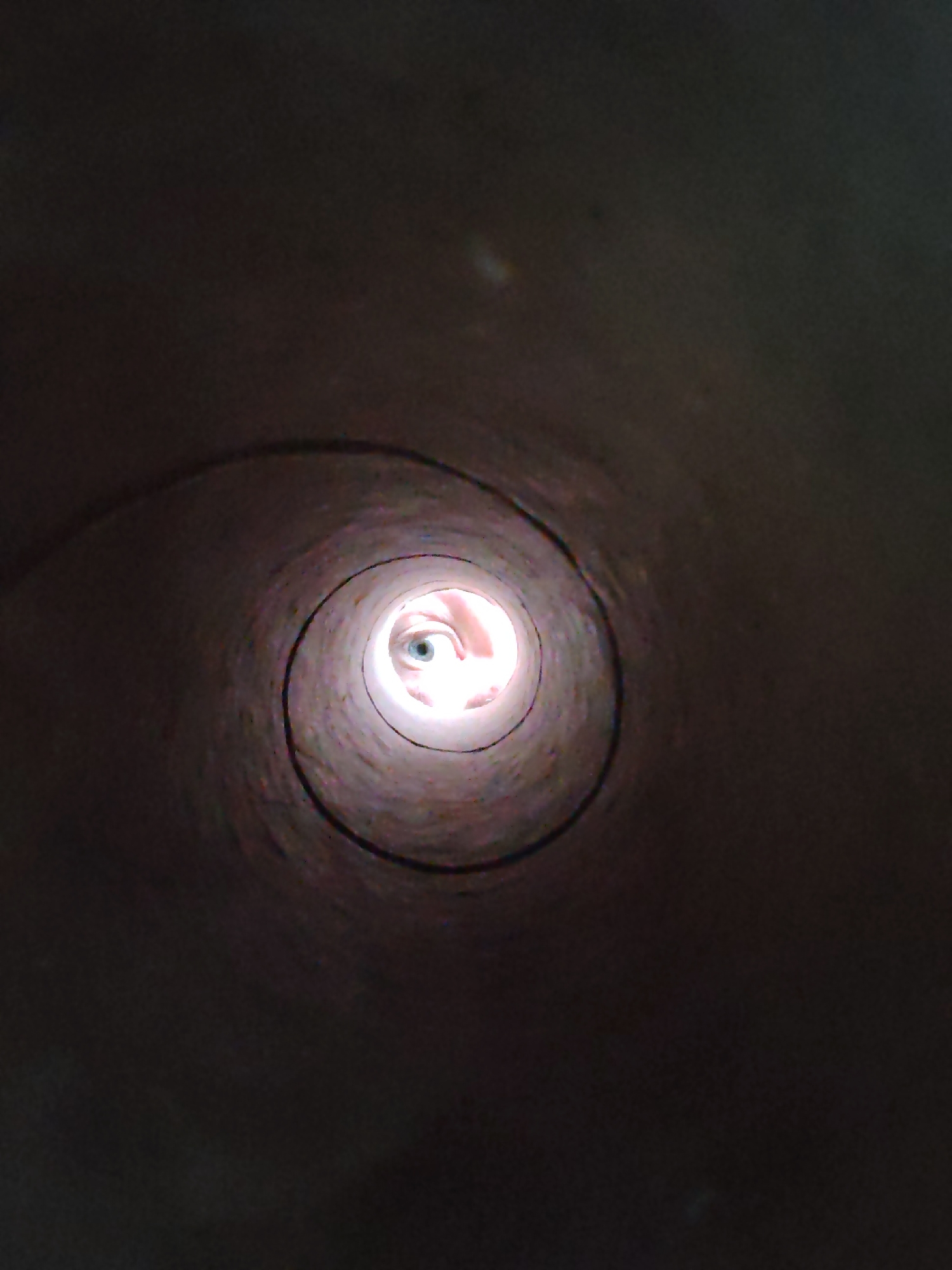 An extreme close-up shot looks down the interior of a cylindrical object, possibly a cardboard tube, towards a bright opening. At the center of the opening, a human eye is visible, looking directly at the camera. The eye is light blue and appears to be the focal point of the image. The surrounding interior of the tube is dark and textured. The perspective suggests the photographer is positioned at one end of the tube, looking into the other end where the eye is located. The image does not provide any specific details about the location in Chaikovsky, Russia.