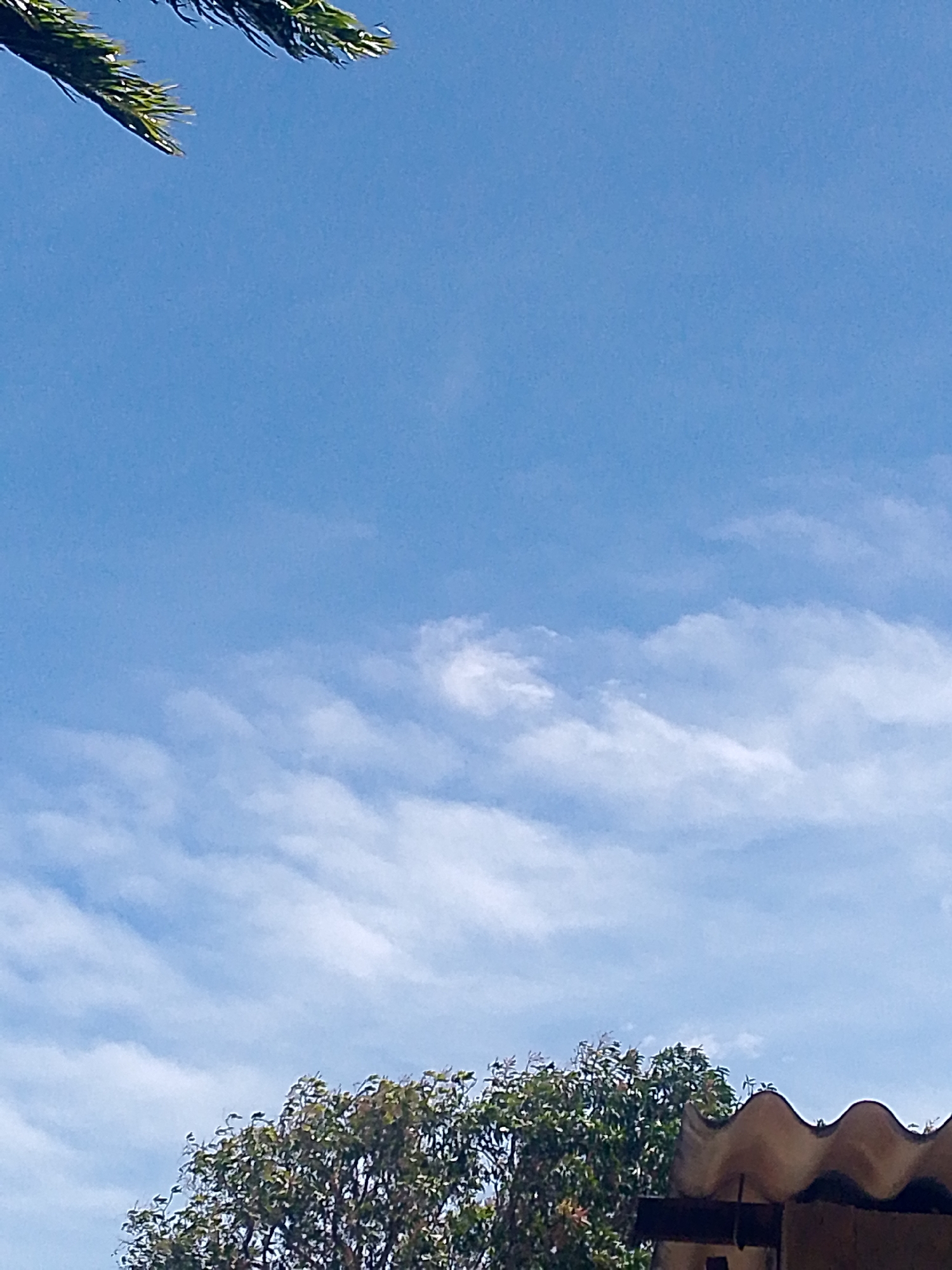 The image shows a view of the sky with sparse, streaky clouds in Juan Griego, Venezuela. Part of a coniferous tree branch is visible in the upper left corner. A leafy tree and a corrugated roof are visible at the bottom of the frame.