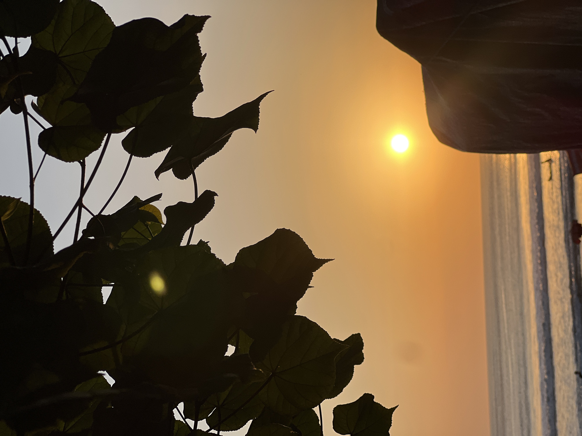 This image depicts a sunset over the ocean in Kuta, Indonesia. In the foreground, silhouetted leaves of a tree hang from the top of the frame, with a bright sun visible through one of the leaves, creating a lens flare. The sky is a gradient of orange and yellow, transitioning to a pale blue at the top. The ocean is visible in the middle ground, with gentle waves breaking on the shore, reflecting the warm colors of the sunset. A dark, abstract shape, possibly a piece of furniture or a blanket, occupies the lower right portion of the frame, also catching the light of the setting sun. In the distance, a few indistinct figures and a small boat can be seen on the beach.