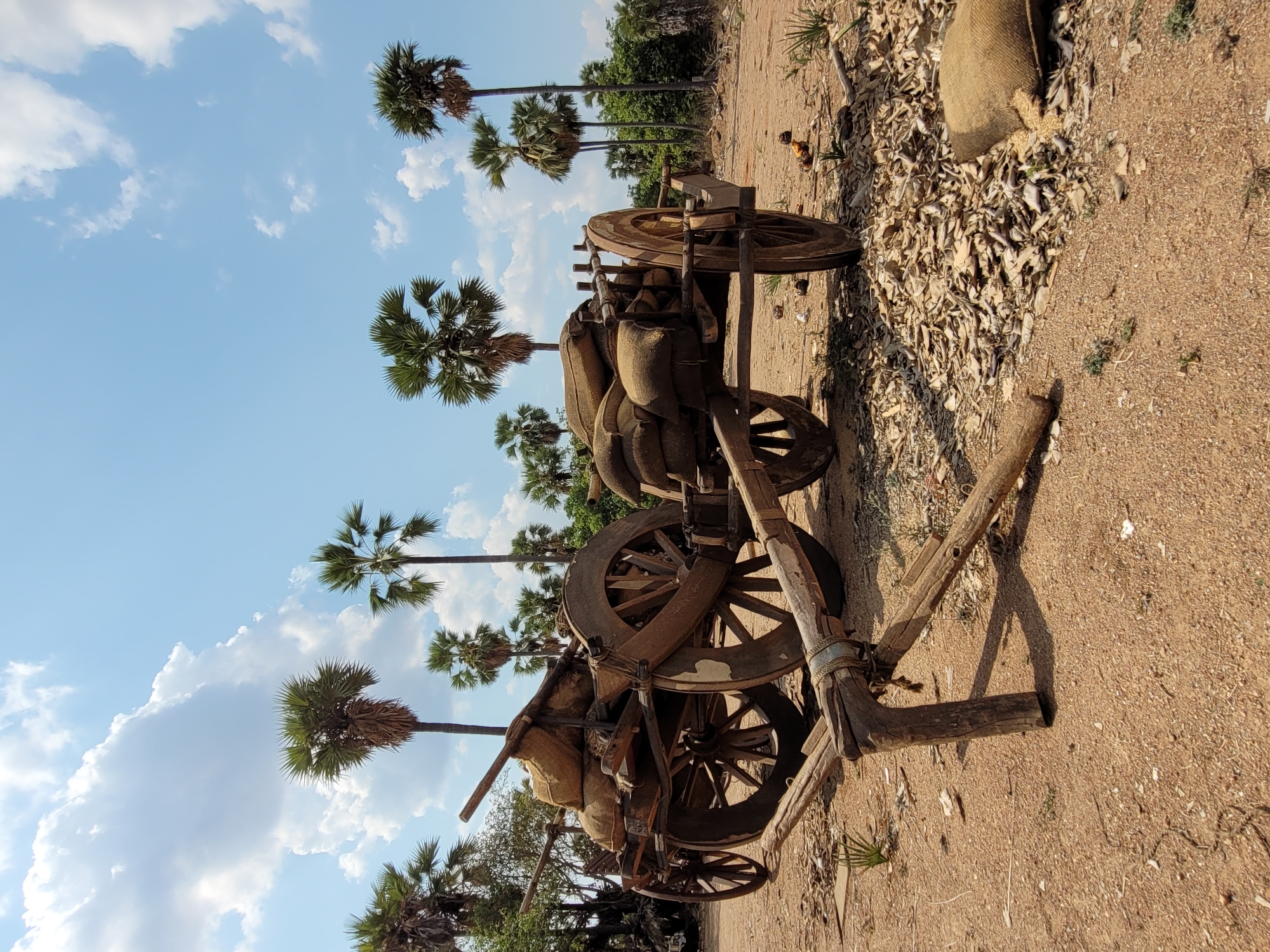 A landscape image shows a wooden cart, with several large sacks loaded on it, in an outdoor setting. Tall palm trees punctuate the background under a sky with scattered clouds. The location of the image is in the city of Unknown, Unknown.