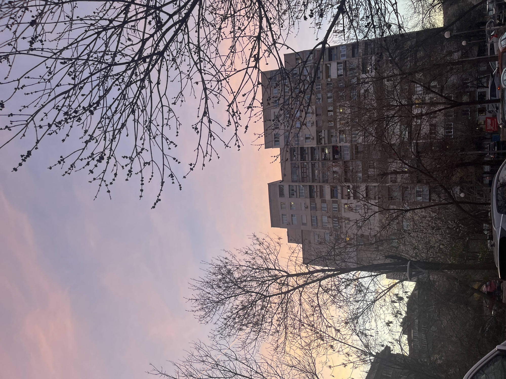 The image, taken from a low angle, depicts a scene in Sofia, Bulgaria, likely in the Mladost district. A large, Soviet-era residential building dominates the frame, characterized by its modular design and multiple windows. Bare tree branches, common during late autumn or early spring, frame the building and sky. The sky is a mix of pastel colors, indicating sunrise or sunset. Cars are parked along the street to the right, suggesting a residential area.