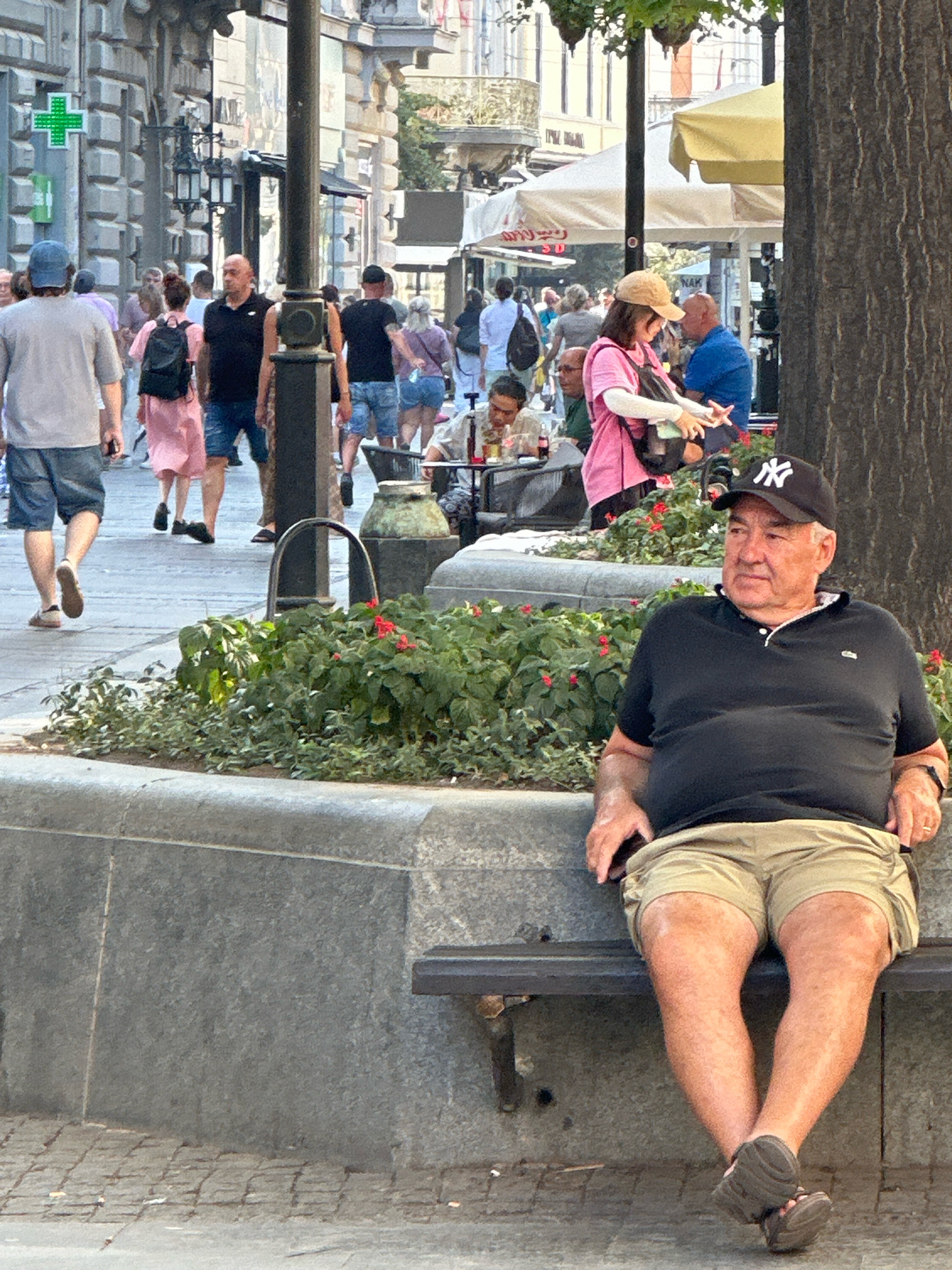 The image shows a street scene in Belgrade, Serbia. In the foreground, an older man wearing a black polo shirt, khaki shorts, and a black baseball cap sits on a park bench. His legs are crossed, and he is looking to his right. Behind him, a planter box filled with green foliage and small red flowers is visible. In the mid-ground, a paved walkway is lined with people walking in various directions. Some are dressed in casual summer clothing. A few individuals are seated at outdoor tables, suggesting a cafe or restaurant setting. Further in the background, buildings with architectural details typical of a European city line the street. A yellow awning of a shop is also visible. The overall atmosphere appears to be a busy, sunny day in an urban environment.