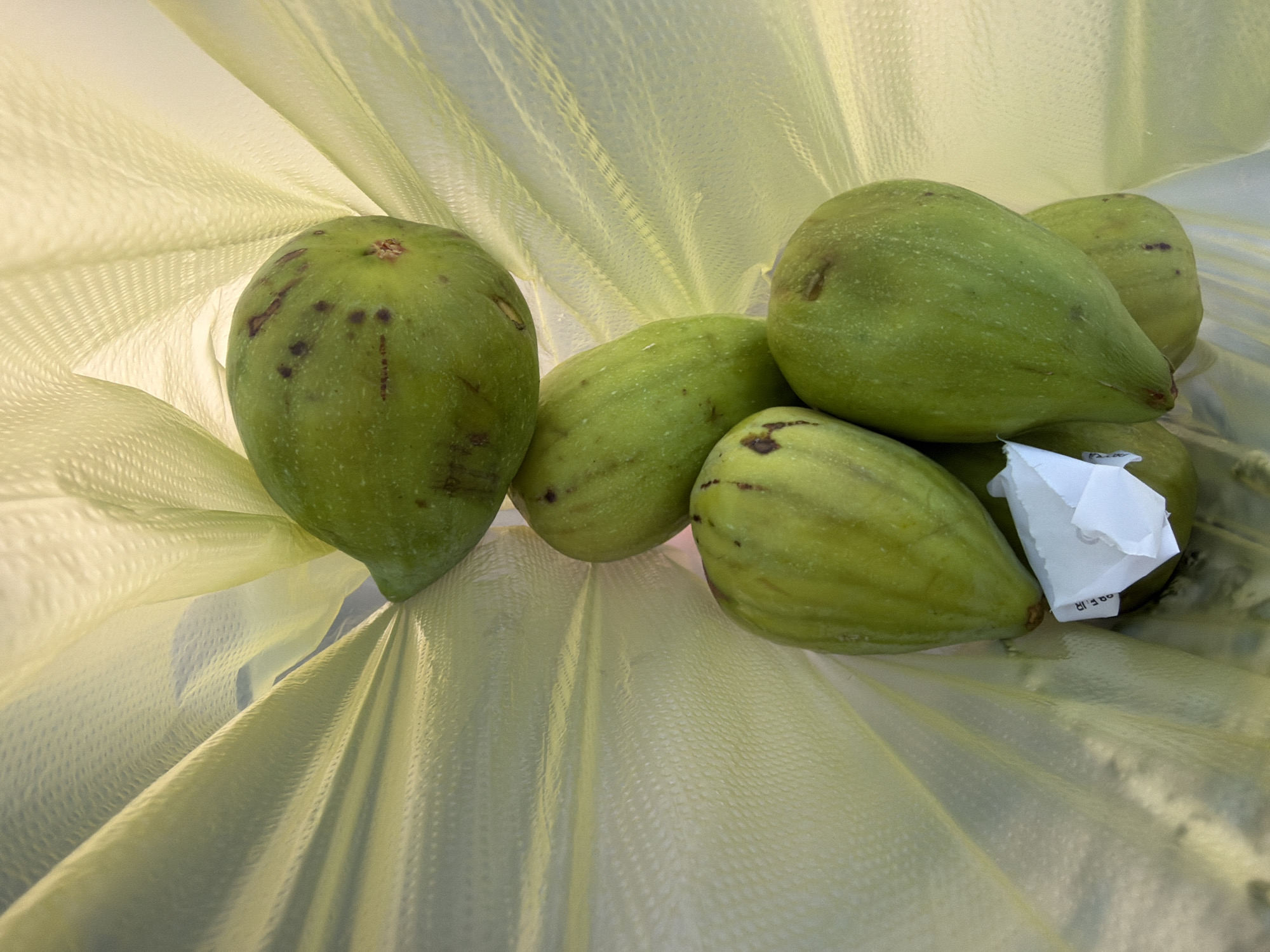 The image displays a collection of green figs nestled within a light yellow, translucent plastic bag. The figs vary slightly in shape and size, with some exhibiting small brown spots on their skin. One fig is positioned prominently on the left side of the frame, with its stem end facing downwards. Other figs are grouped together towards the right, with a small piece of white paper peeking out from between them. The plastic bag has a woven texture and is illuminated from behind, creating a soft, diffused light that highlights the contours of the figs and the folds of the bag. The overall scene is simple and focuses on the produce. There is no indication of time of day, weather, or specific location beyond the provided context. No discernible emotions are conveyed. A portion of text is visible on the white paper, appearing to be "oQ F.IR", though it is partially obscured.