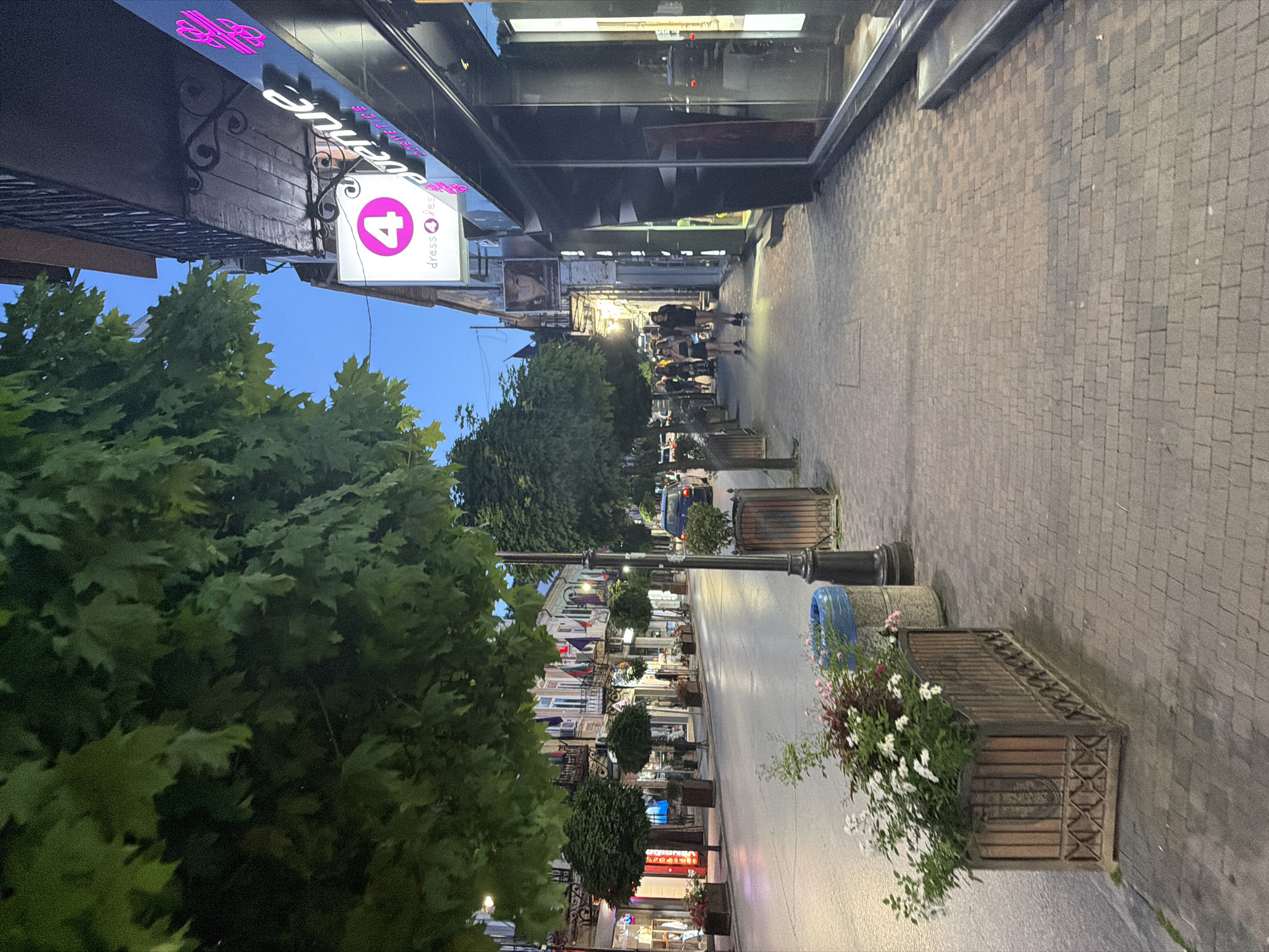 The image depicts a street scene in Veliko Tarnovo, Bulgaria, at dusk. The street is lined with buildings housing shops and restaurants, with balconies visible on some upper floors. Trees with lush green foliage overhang the sidewalk, casting shadows on the paved walkway. Several planters filled with flowers are positioned along the sidewalk, with one larger planter containing white and pink flowers in the foreground. A blue trash receptacle is visible next to a lamppost. A blue car is parked on the street. Several people are walking on the sidewalk in the distance. Neon signs, including one for "Dress 4 Avenue," are illuminated on the shop fronts. The sky is a deep blue, indicating the late hour. The overall impression is of a moderately busy urban environment transitioning from day to night.
