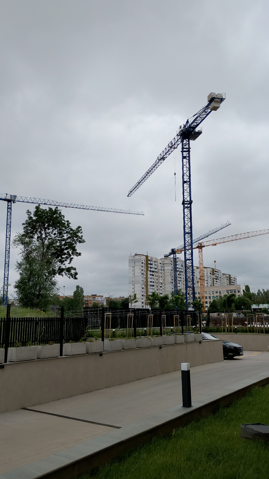 An outdoor, medium shot captures a construction scene under a cloudy sky. Dominating the frame are multiple tall tower cranes, some blue and one yellow. In the background, several multi-story buildings, appearing to be apartment complexes, are under construction or renovation, with some windows visible. A large, leafy green tree stands prominently in the mid-ground, to the left of the central cranes. A black car is visible parked on a concrete surface in the lower right portion of the image. A black metal fence with vertical slats runs along the foreground, separating a grassy area from planters filled with young trees. The overall impression is a developing urban landscape on an overcast day.