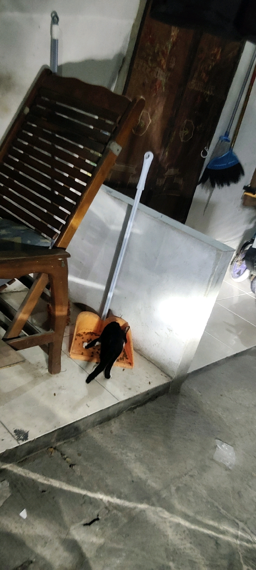 In Mekarmukti, Indonesia, a black cat is observed lying on an orange dustpan filled with kibble. The dustpan is positioned on a tiled floor, adjacent to a wooden chair and a broom. The environment appears to be an indoor or semi-outdoor space, possibly a storage area or a patio, with a wall and a wooden screen in the background. A bright light source illuminates the scene from the right, casting shadows.