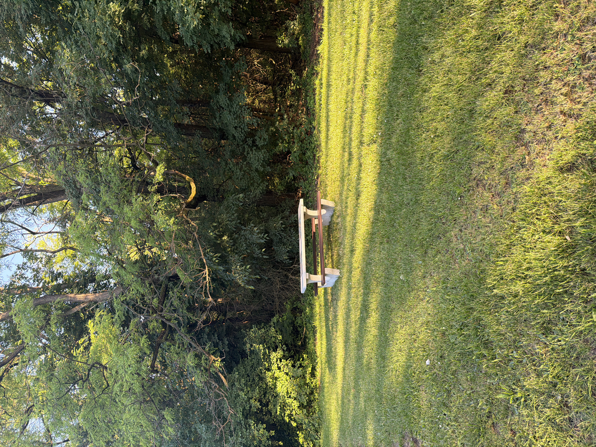 The image captures a serene outdoor landscape, depicting a verdant grassy area bordered by a dense, lush forest. In the mid-ground, a light-colored park bench, possibly constructed from concrete supports and wooden slats, sits at the edge of the lawn, partially shaded by the towering trees. The left portion of the frame is filled with the intricate canopy of numerous deciduous trees, showcasing rich green foliage and intertwining branches.
The right side of the image features an expansive stretch of vibrant green grass, bathed in the warm, golden glow of the sun. Long, distinct shadows are cast across the lawn, creating a striking striped pattern that emphasizes the low angle of the sunlight. This strong interplay of light and shadow, combined with the golden hue, indicates the photograph was taken during either early morning or late afternoon, commonly known as the 'golden hour'. The weather appears clear and sunny, enhancing the natural beauty of the landscape. The scene conveys a sense of peace and stillness, characteristic of a serene park or natural retreat in Lovech, Bulgaria. No people or visible text are present, and no specific activity is taking place; the scene is one of quiet contemplation.