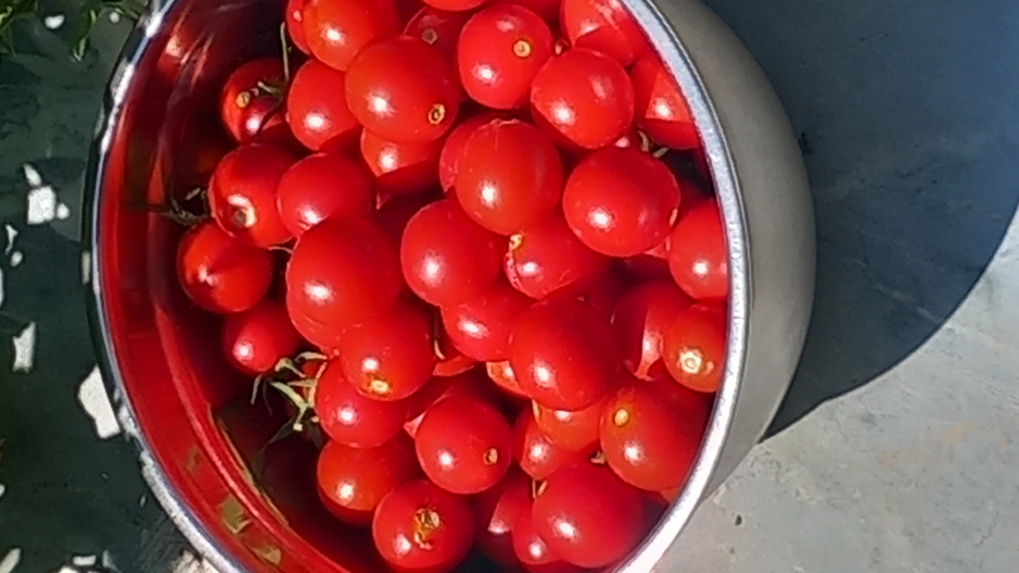 A close-up, vertical, eye-level shot shows a stainless steel bowl filled with ripe, red cherry tomatoes. The bowl has a red interior. The tomatoes are clustered together, some with visible stems and green leaves. The background is blurred, but appears to be an outdoor setting with foliage and possibly a textured surface beneath the bowl. The lighting suggests it is daytime, with harsh shadows indicating direct sunlight. The scene is located in Agios Nektarios, Greece.