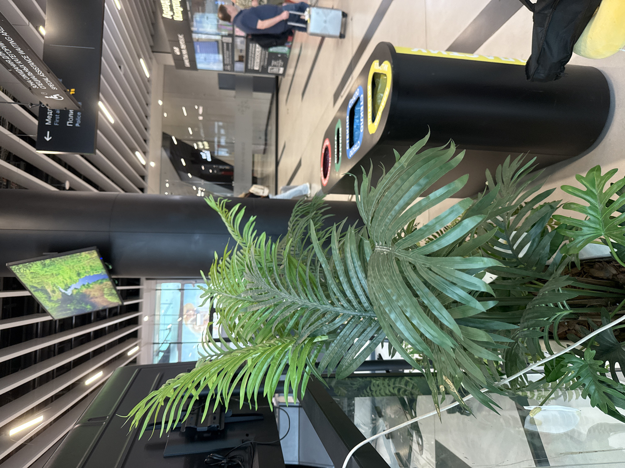 This image captures an interior scene, likely at an airport or a large public building, with a focus on a large potted plant in the foreground. The plant is lush and green, with broad, feathery leaves. To the right of the plant, a black recycling bin with three compartments (red, blue, and yellow) is visible. The bin has labels written in Russian, indicating different waste categories. In the background, a person is seen pulling a silver suitcase, and signage with Russian text and directional arrows can be observed on a pillar. A large screen displaying a landscape image hangs on the ceiling. The environment appears modern and well-lit, with a tiled floor and a suspended ceiling with integrated lighting. The presence of the recycling bin and directional signage suggests a public transit hub. While the image itself does not provide direct confirmation of the city being Ob, Russia, the Russian language on the signage and recycling bin strongly indicates a Russian location.