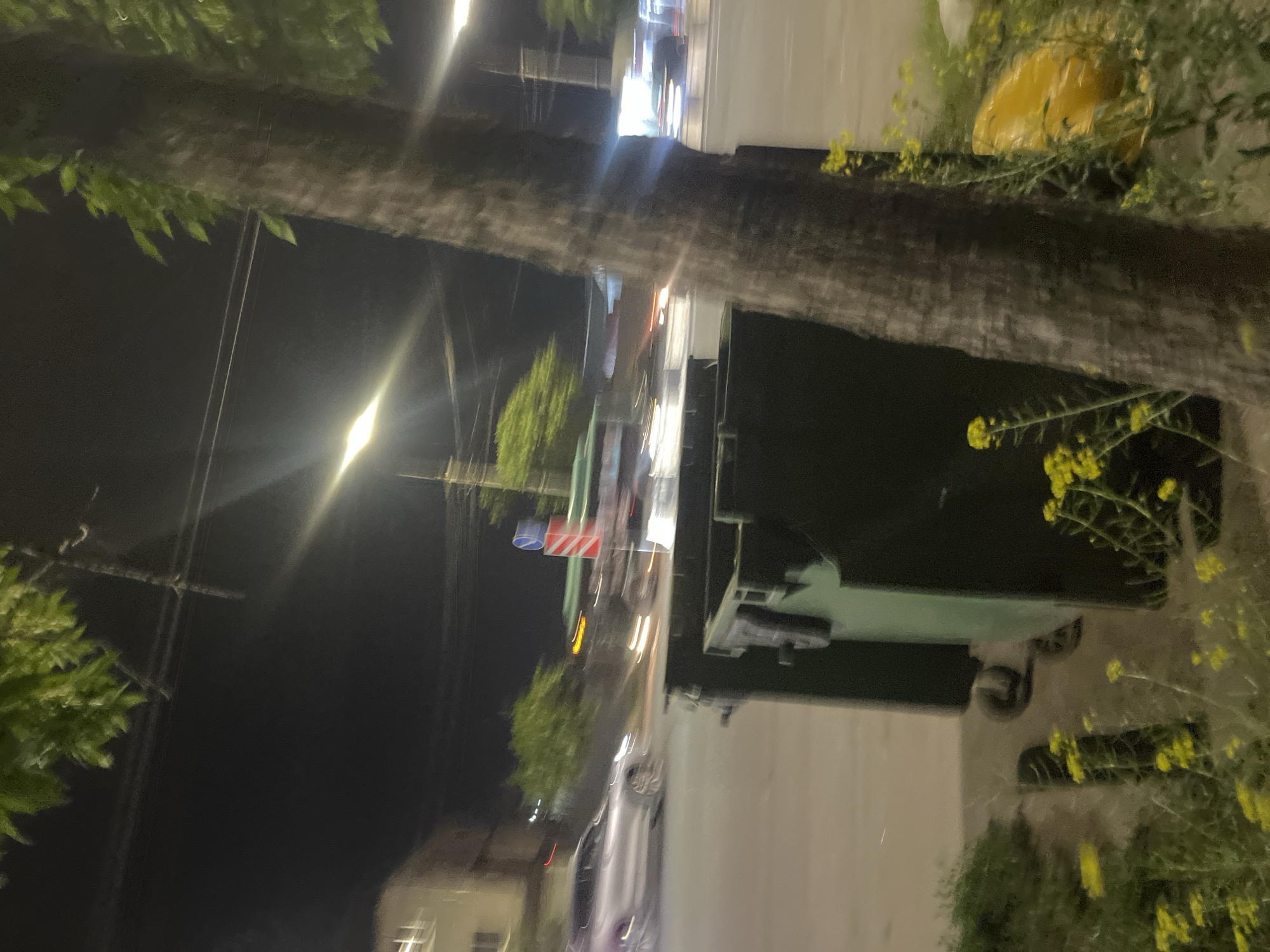 Captured at night in Yerevan, Armenia, the image shows a street scene viewed through trees and foliage. A road is visible with blurred lights indicating vehicular traffic. Streetlights illuminate the surroundings. A building facade is also present. The overall scene conveys a nighttime urban environment.