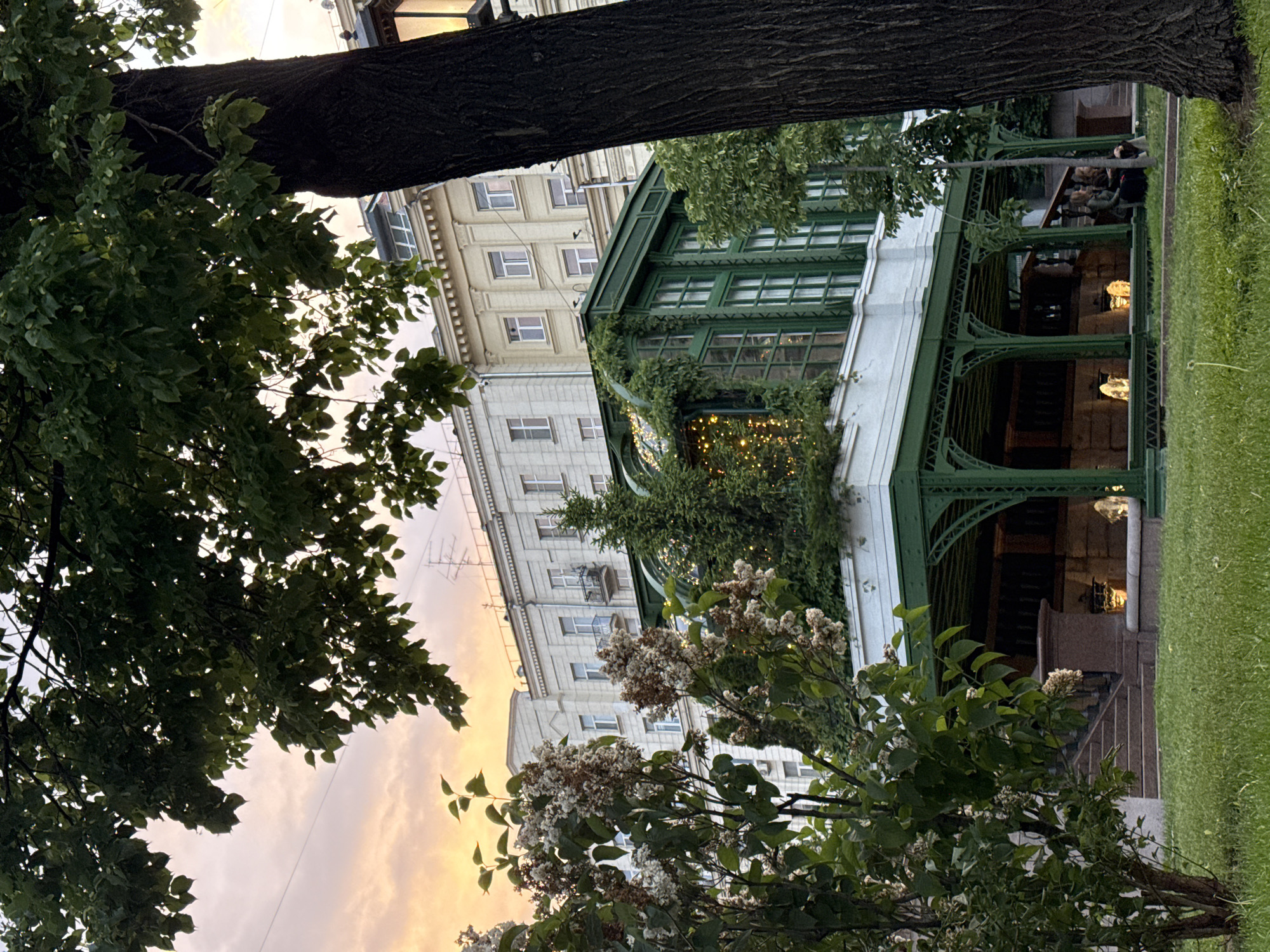 The image captures a scene in Moscow, Russia, showcasing a building with a green-framed glass enclosure. The building has a white facade and multiple windows. The scene is framed by foliage in the foreground. A large tree trunk is visible at the top, and foliage, with white flowers, is at the bottom. The sky is visible with tones of pink and orange, indicating either sunrise or sunset. Within the green-framed enclosure, hanging lights are visible, and there appears to be a group of people seated. A strip of green lawn is seen on the right side of the image.