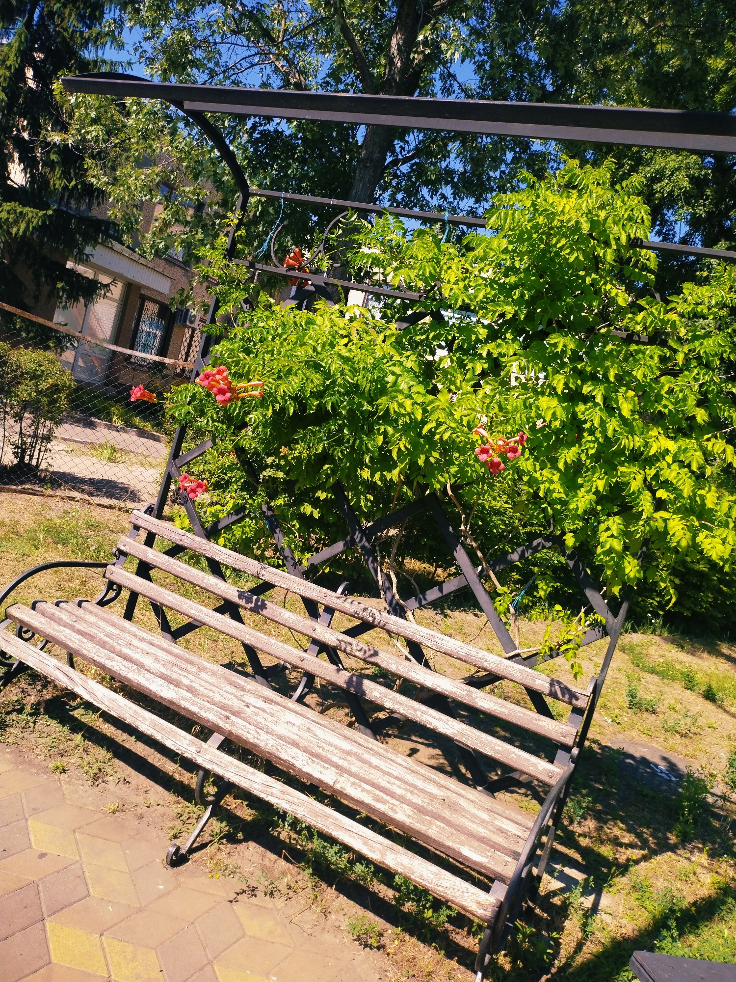 This image depicts an outdoor scene in the city of Horishni Plavni, Ukraine. In the foreground, a weathered wooden bench with a black metal frame sits on a paved area of patterned interlocking bricks. Beyond the bench, a lush green vine with clusters of bright red-orange flowers climbs over a black metal arbor structure. In the background, a chain-link fence encloses a grassy area with some scattered vegetation. Behind the fence, a multi-story building with visible windows and an air conditioning unit is partially obscured by trees. The overall environment suggests a park or a residential area with garden elements. The lighting indicates it is daytime, with shadows cast by the bench and arbor, suggesting the sun is high. There are no people visible in the image.