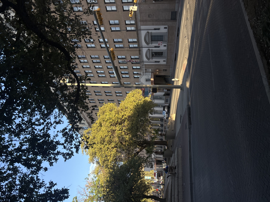 The image depicts a daytime urban street scene in San Antonio, Texas, USA, specifically looking towards the Menger Hotel from Alamo Plaza. The foreground is dominated by a dark brick-paved street, patterned in herringbone, with a significant portion in shadow. To the left, a multi-tiered stone seating structure features one adult male subject seated on a lower step, wearing a blue shirt and dark pants, appearing to look downwards. Behind him, a cluster of mature trees with green and yellow-green foliage is brightly illuminated by direct sunlight, casting long shadows towards the foreground.
The right side of the frame is occupied by the multi-story Menger Hotel, constructed of light brown brick with numerous rectangular windows. Its ground floor exhibits architectural detailing with white stone accents, including two arched windows and a central entrance sheltered by a canopy. An American flag is displayed on a pole affixed to the hotel's facade above the entrance. A vertical utility pole stands in the mid-ground, supporting a horizontal arm with multiple yellow traffic signal heads. Two indistinct human figures are visible on the sidewalk near the hotel's entrance. A white or silver sedan is parked on the street in the mid-left. The sky above is clear and blue, visible through the dark silhouettes of foreground tree canopies. Sunlight appears to originate from the left, illuminating subjects and casting distinct shadows across the scene.