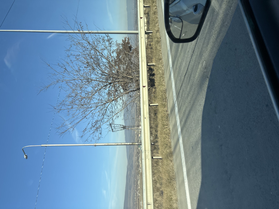 The image depicts a roadside view in Changilari, Georgia, under a clear, bright blue sky. The foreground shows an asphalt road surface with a solid white line delineating the shoulder, marked by prominent long, parallel shadows cast across it. In the midground, a two-tiered, light-colored metal guardrail runs horizontally, separating the road from an embankment covered in dry, light brown grass. Behind the guardrail, a leafless deciduous tree with intricate, spreading branches is centrally located. To the left of the tree, a tall, slender grey street light pole with a downward-curving fixture is visible, with another similar pole partially obscured by the tree to its right. A metal lattice power pylon is discernible behind and to the left of the tree. Thin utility lines traverse the upper portion of the sky. The background reveals a wide valley with distant rolling hills or mountains and a visible town or settlement. The lower right corner of the frame includes a portion of a dark vehicle interior and the reflection of a white vehicle component in a side mirror. No individuals are present in the scene.