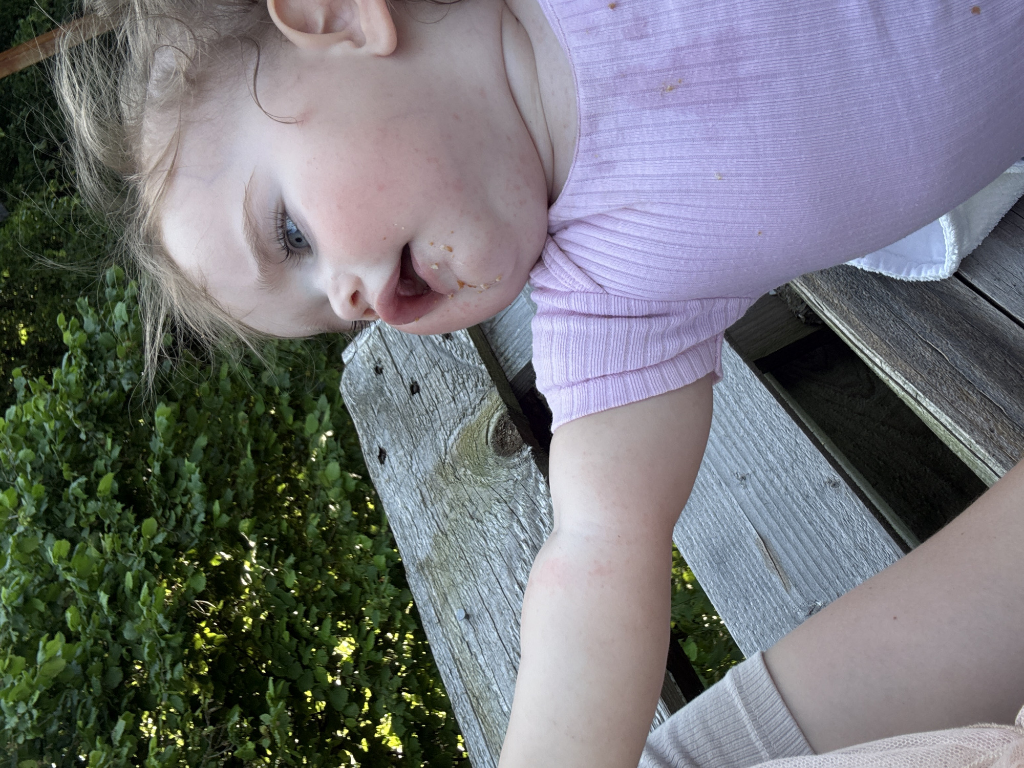 A close-up, medium shot captures a baby with blonde hair and blue eyes, sitting outdoors in Beltershain, Germany. The baby is wearing a pink ribbed shirt and has food remnants around its mouth and on its clothing. Its right arm is extended towards the viewer, resting on a weathered wooden surface. Behind the baby and wooden surface, lush green foliage is visible, indicating an outdoor setting. The focus is on the baby's face and upper body, with the background softly blurred.