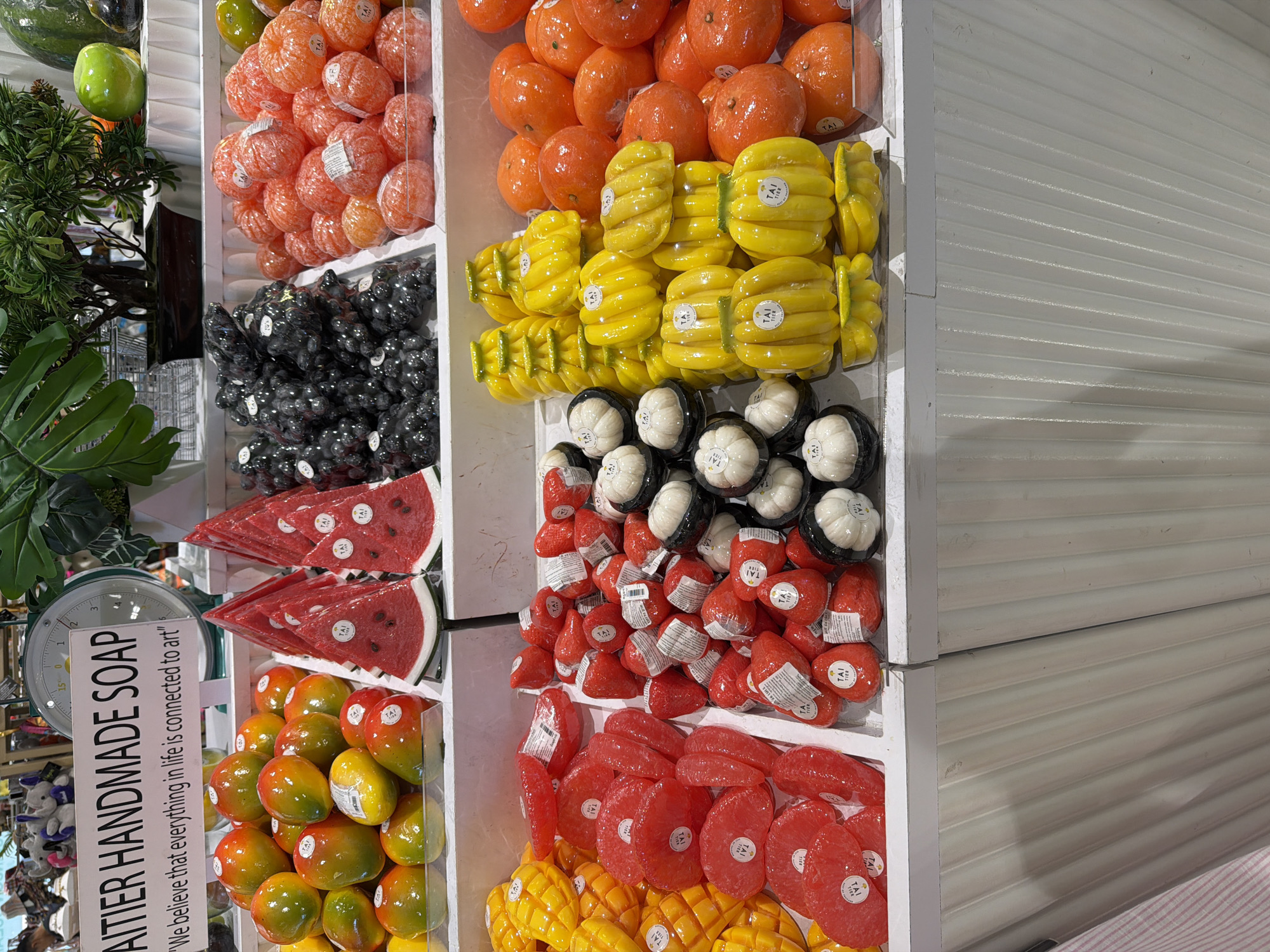 This media file shows a variety of decorative soaps displayed in a retail setting, likely a shop in Patong, Thailand. The soaps are shaped and colored to resemble various fruits, including oranges, bananas, watermelons, mangoes, and possibly mangosteens. They are arranged in white divided trays, presenting a colorful and organized display.
In the background, a white slatted wall suggests an indoor environment. To the left of the soap display, part of a green artificial plant and a vintage-style scale with a sign are visible. The sign reads "AITIER HANDMADE SOAP" and includes the tagline "We believe that everything in life is connected to art". Some of the individual soaps also have small circular labels with text, likely brand or product information.
The overall impression is one of a well-stocked artisanal shop, focusing on creative and visually appealing products. The lighting appears to be bright, suggesting daytime. There are no people directly visible in the frame, but the presence of a retail display implies customer activity. The scene is clean and orderly, highlighting the products themselves.