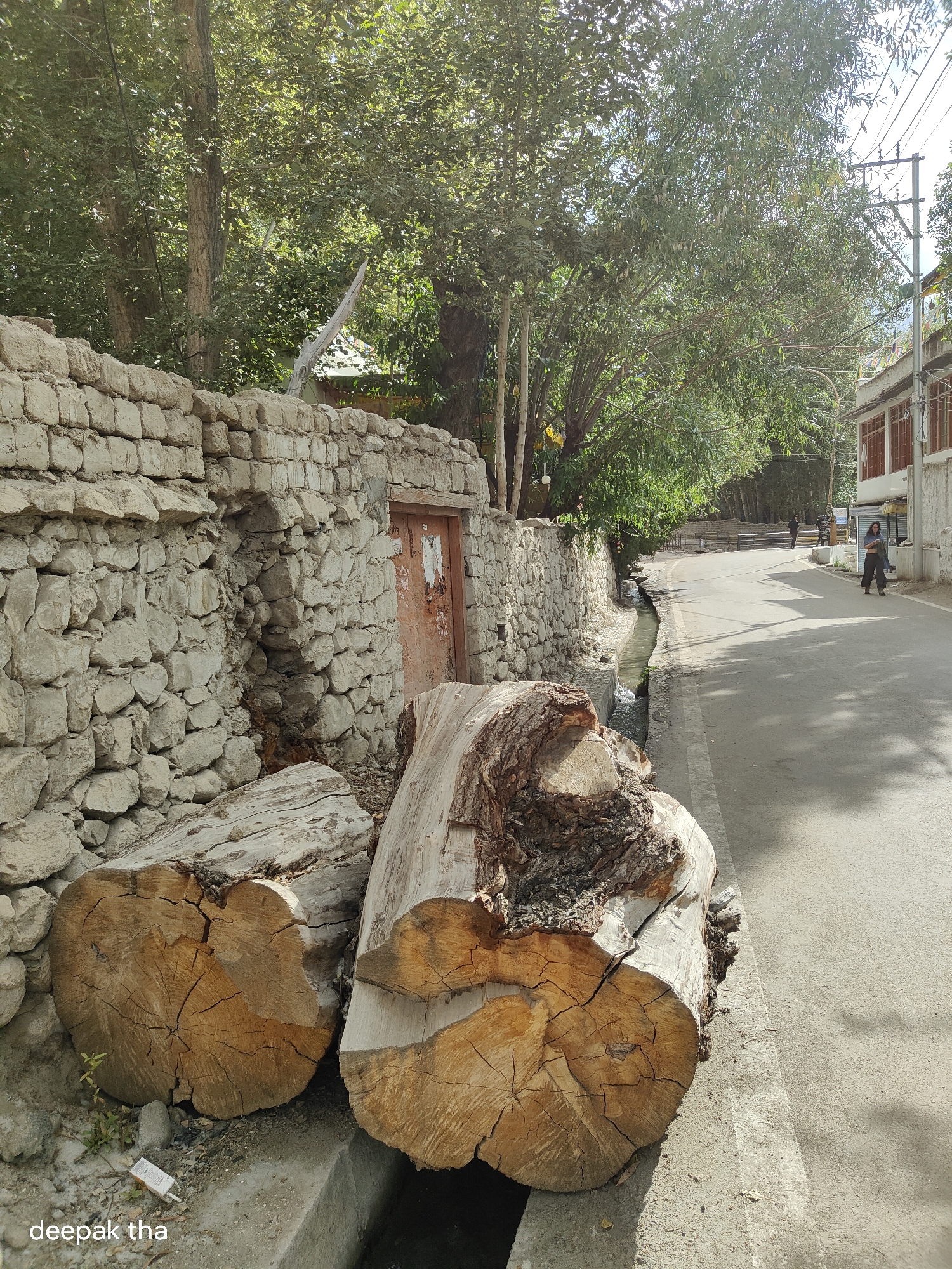 This is a street scene in Leh, India. In the foreground, two large logs of wood are placed on the side of the road. Behind them is a stone wall. The road curves to the right, with a narrow channel of water running alongside it. Trees with green foliage line the left side of the road, creating shade. On the right side of the road, there are buildings with windows and a few people walking. The sky is visible and appears clear. The overall impression is a dusty, sun-drenched street in a somewhat rural or less developed urban area. The lower left corner of the image contains the text "deepak tha."