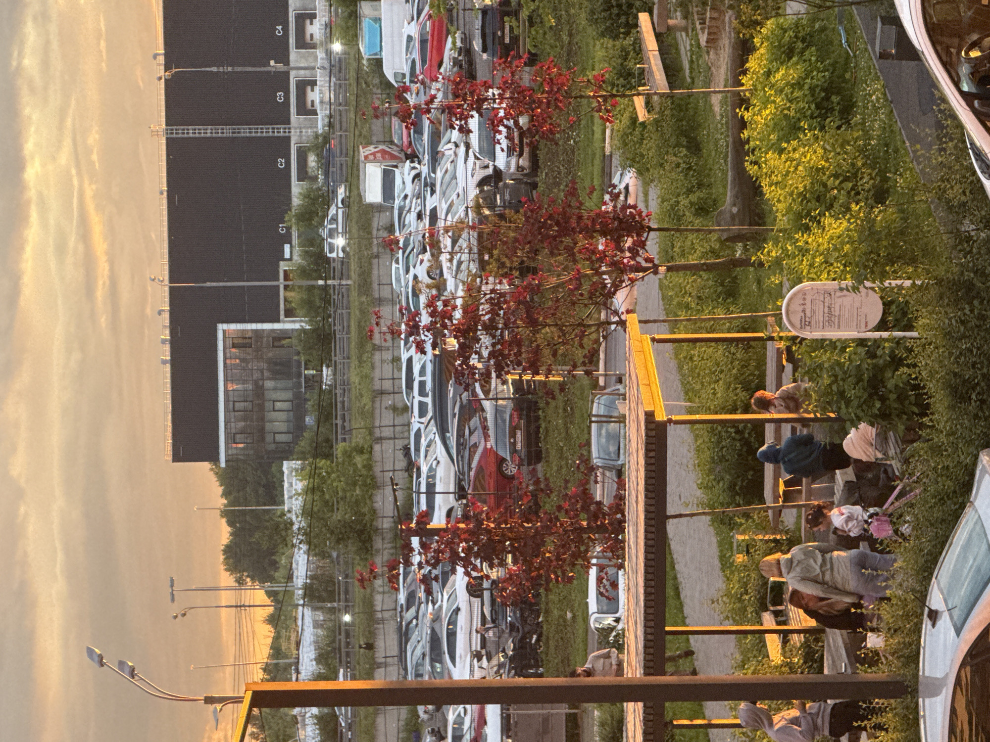 This media file depicts an outdoor scene in Drozhzhino, Russia, likely during the golden hour of sunset. The sky is filled with warm, hazy orange and yellow tones, suggesting either a clear but late afternoon or evening sky, or possibly a light atmospheric haze.
The main focus of the image is a large parking lot filled with rows of parked cars, predominantly white and silver. The cars are lined up neatly, indicating a structured parking area, possibly for a residential complex or a commercial establishment.
In the foreground and mid-ground, there are several young people engaged in various activities. Some appear to be socializing, standing in small groups and interacting. Others are seated on a low wooden structure that resembles benches or a low wall, also seemingly engaged in conversation or relaxation. One individual is leaning against a tree. The overall atmosphere among the people seems relaxed and casual.
Several trees with vibrant red foliage are scattered throughout the scene, adding pops of color against the backdrop of cars and greenery. These trees are in full leaf, suggesting a warmer season like late spring or summer. There are also streetlights visible, indicating the presence of infrastructure for illumination.
A building with dark, reflective windows is visible in the background on the left, adding a sense of urban or suburban development to the setting. On the right side, a white car is partially visible, and a white oval sign with some printed text is mounted on a pole, though the text is illegible.
The lighting and the relaxed demeanor of the individuals suggest a peaceful evening setting in a semi-urban environment.