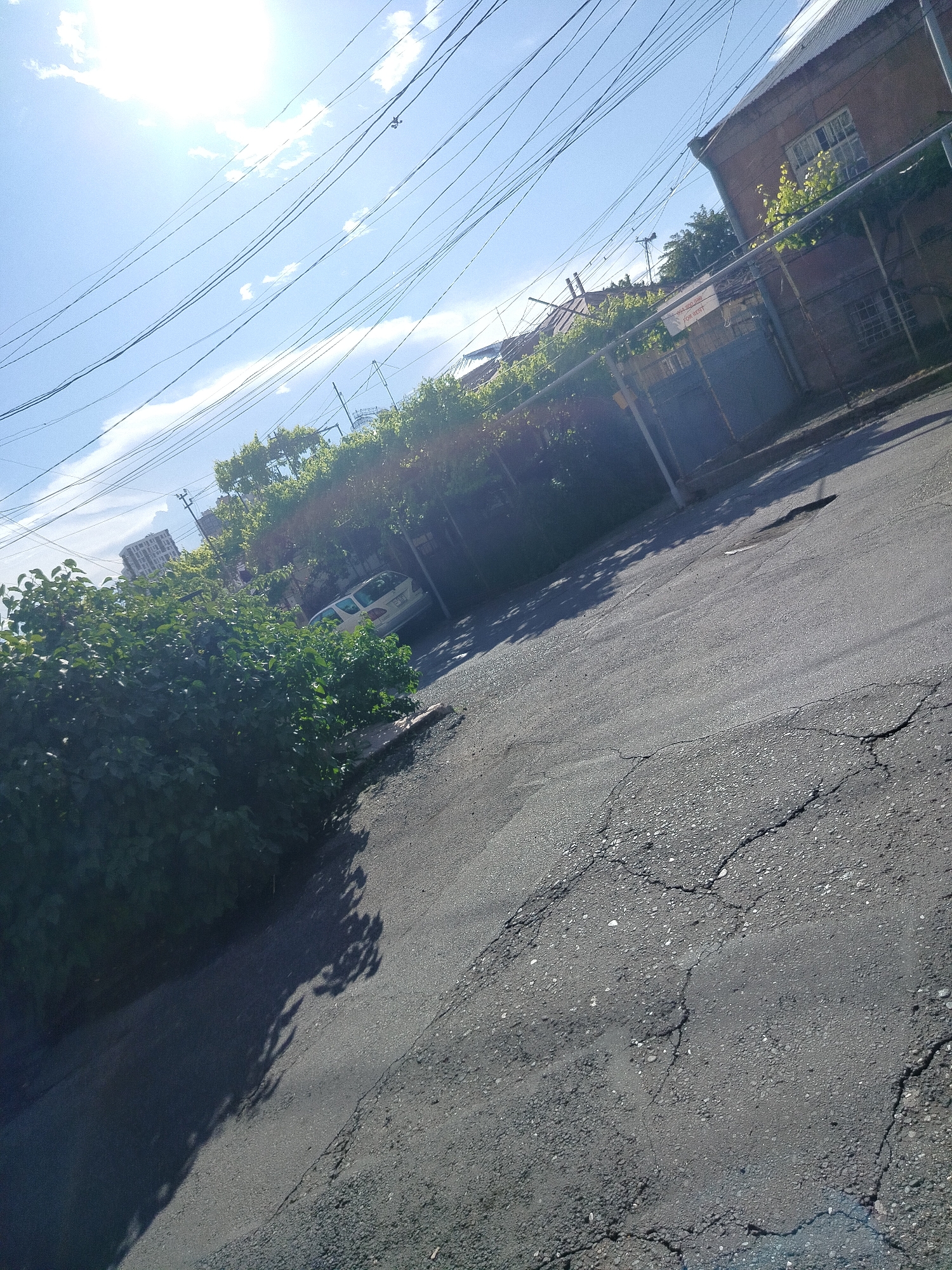 The image depicts a street in Yerevan, Armenia, on a sunny day. The street is paved with cracked asphalt. On the left, a large bush partially obscures the view. In the background, a light-colored car is parked partially hidden under a green vine-covered structure. Above this structure, electrical wires stretch across the sky. Further back, a building with a grey-tiled roof is visible on the right, and multi-story buildings can be seen in the far distance to the left. A "For Rent" sign is visible along the building.