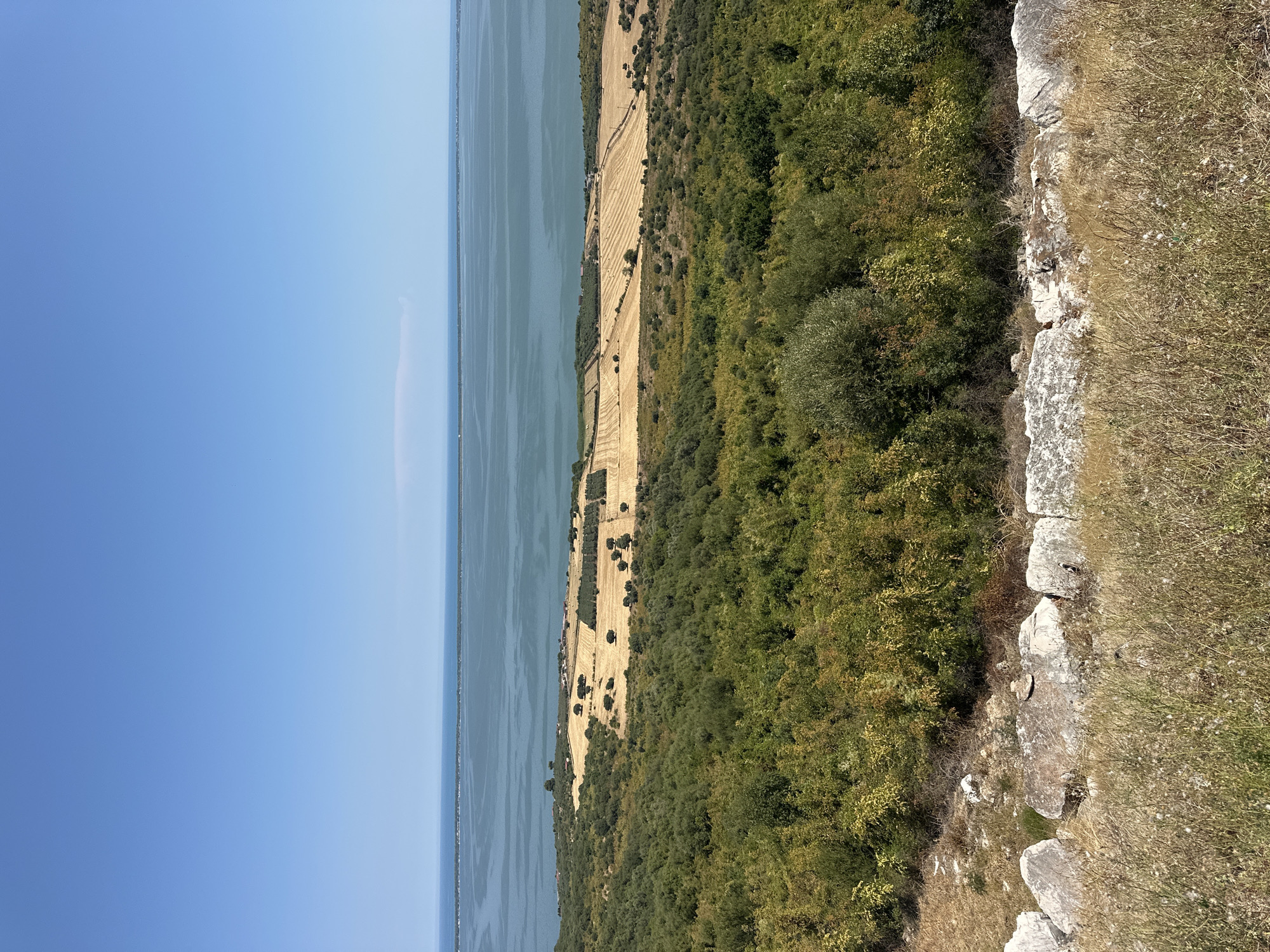 The image captures a serene, panoramic view of a coastal landscape in Cagnano Varano, Italy. The foreground is dominated by dry, golden grasses and rough, weathered stones, suggesting an elevated vantage point. Beyond this rocky embankment, a verdant, dense forest stretches across the mid-ground, its foliage a mix of greens and yellows, indicative of a warm, possibly dry, season. In the distance, a vast expanse of calm, blue water stretches to the horizon, meeting a clear, pale blue sky.
Several cultivated fields are visible in the mid-ground, appearing as golden swathes of harvested crops, likely wheat or barley, interspersed with scattered trees, possibly olive trees given the Mediterranean setting. Thin lines of buildings or structures are discernible along the shoreline. The overall impression is one of natural beauty and agricultural activity, with the sea serving as a prominent backdrop. There are no people or animals visible in the frame. The image is taken from a high angle, looking down and out towards the water.