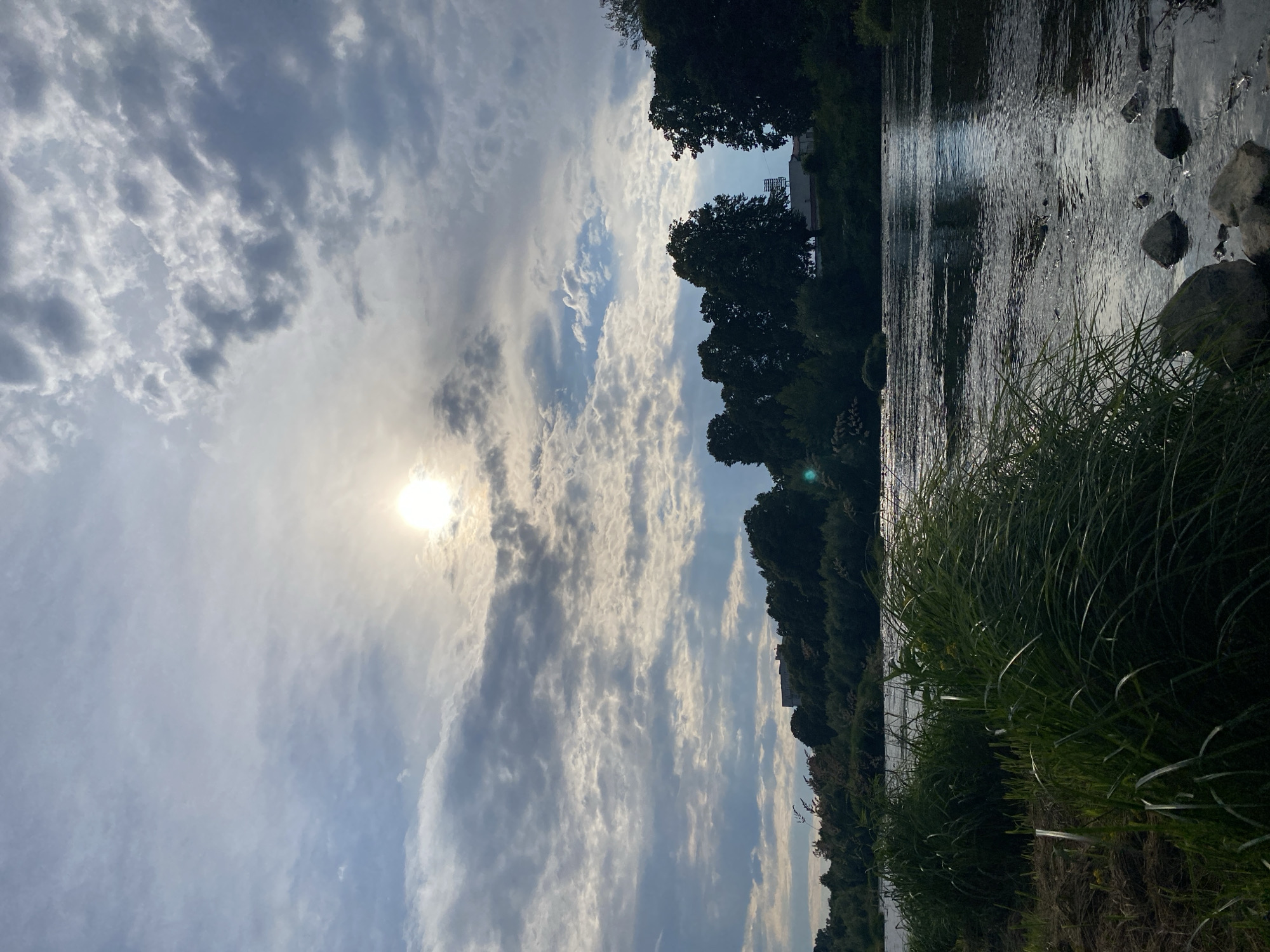 The image captures a peaceful natural landscape, likely during late afternoon or early morning, as indicated by the sun's position. The sky dominates the upper half of the frame, filled with a mix of bright white and darker grey clouds, suggesting partly cloudy weather. The sun shines brightly through a break in the clouds in the upper left, creating a strong glare.
A river or wide body of water flows across the middle and right side of the image. Its surface is textured with ripples and reflects the sunlight, creating distinct streaks of light. Several dark rocks are visible along the water's edge on the right.
The far bank of the river is densely lined with dark green trees, appearing as silhouettes against the brighter sky. A light-colored building is faintly discernible in the distance behind these trees. In the foreground, on the left and bottom, lush green grass grows tall and thick, with individual blades catching the sunlight. The scene emphasizes the interplay of light, water, and vegetation. There is no visible text or explicit activity taking place.
