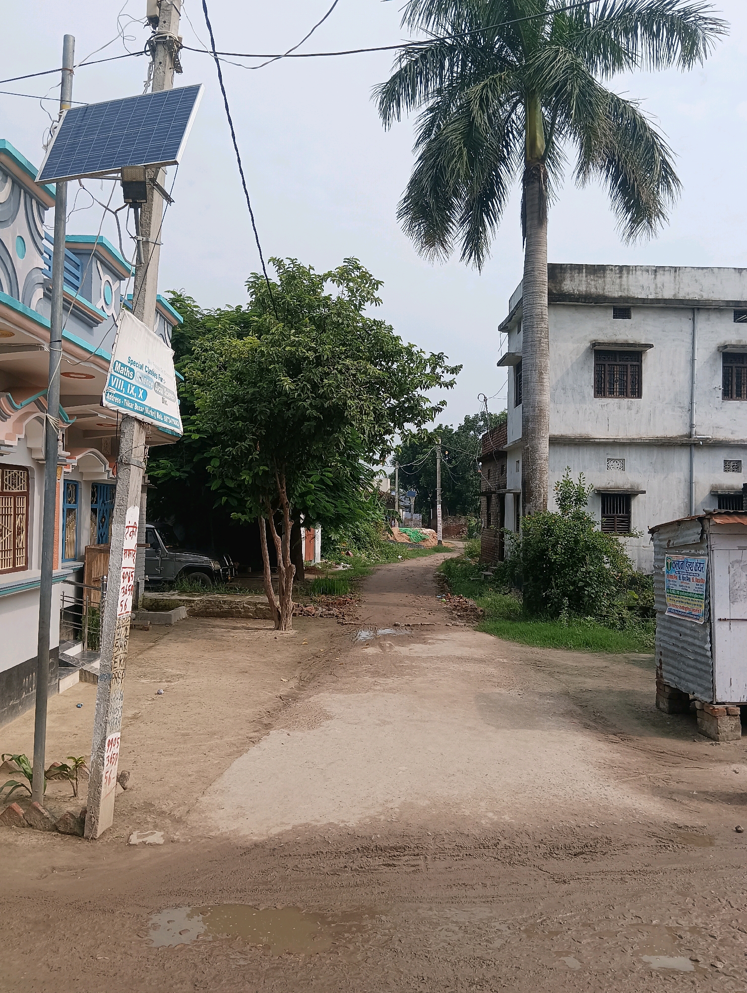 This is a ground-level, eye-level, full shot of a rural street scene in Kesari, India. The image captures a dirt road, possibly muddy in places, with a building on the right and a partially visible building on the left. A tall palm tree dominates the upper right portion of the frame, with its fronds extending across the sky.
On the left side of the road, a building with light blue and white trim is visible. A utility pole stands in front of it, equipped with a solar panel and wires. A sign is attached to the pole, with some text partially legible. Further down the road on the left, a dark-colored vehicle is parked.
On the right side of the road, a white, two-story building is prominent, featuring dark-framed windows. A small, corrugated metal structure, possibly a shop or shed, is positioned in front of this building, with a sign attached to its side. The environment appears to be a residential or semi-commercial area with vegetation and trees interspersed throughout. The sky is overcast.