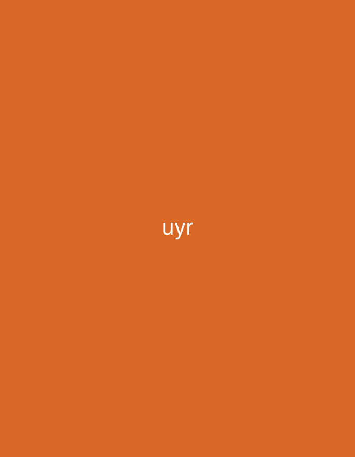 The media file features a solid, vibrant orange background. Centered on this plain backdrop is the three-letter word "uyr," rendered in white, lowercase sans-serif typography. There are no other objects, figures, or discernible scene elements present within the image. The image is minimalist, consisting solely of text against a uniform color. No activity or event is depicted. There are no visible cues for time of day, weather, or specific location within the image itself, though the context provided indicates the location is Vagharshapat, Armenia. The cropped versions of the image serve to highlight the presence of the "uyr" text, showcasing it in different corners relative to the crop, confirming its position on the orange field in the original image.
