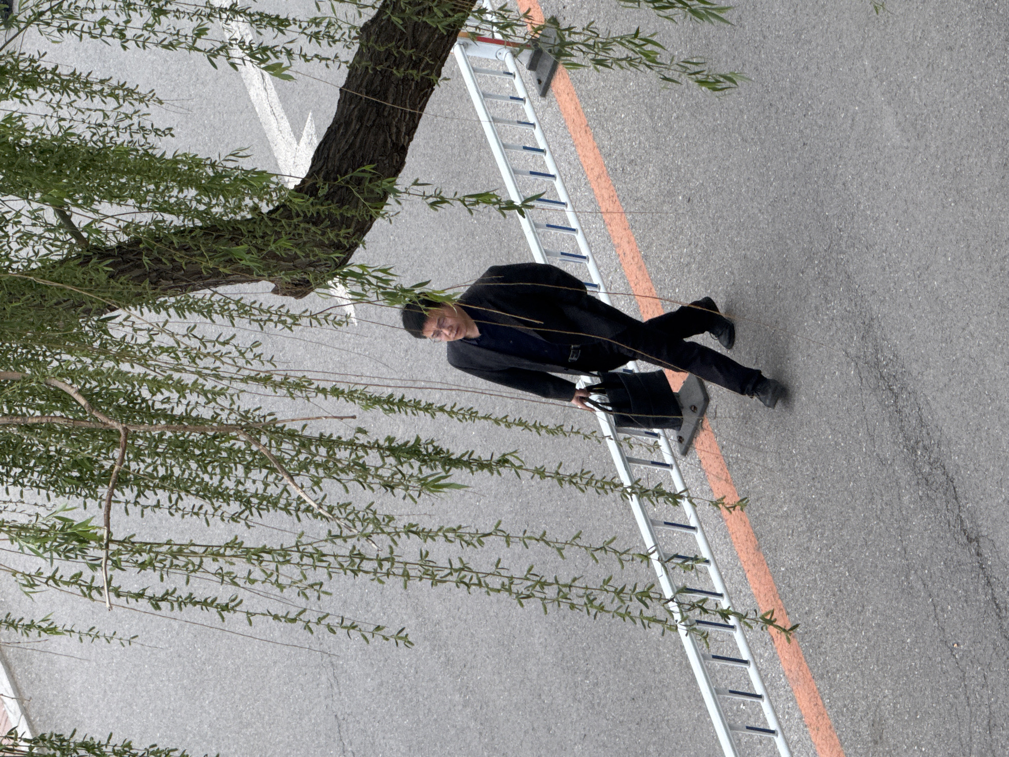 A man in a black suit and carrying a briefcase walks across a gray asphalt surface. A white ladder lies on the asphalt with an orange line running parallel to it. A tree with green foliage is in the upper left corner of the image. A white directional arrow is painted on the asphalt. The location is Zhongtun, China.